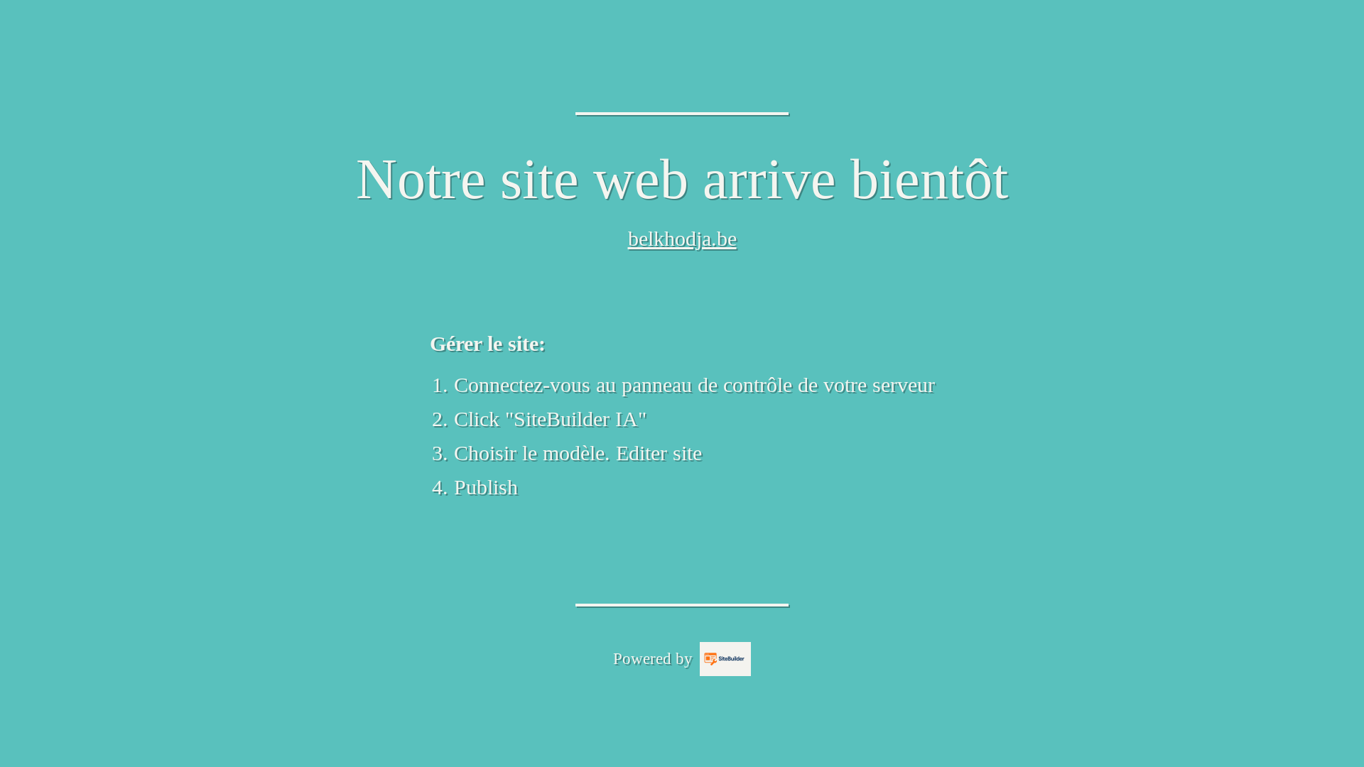 website screenshot of https://belkhodja.be/