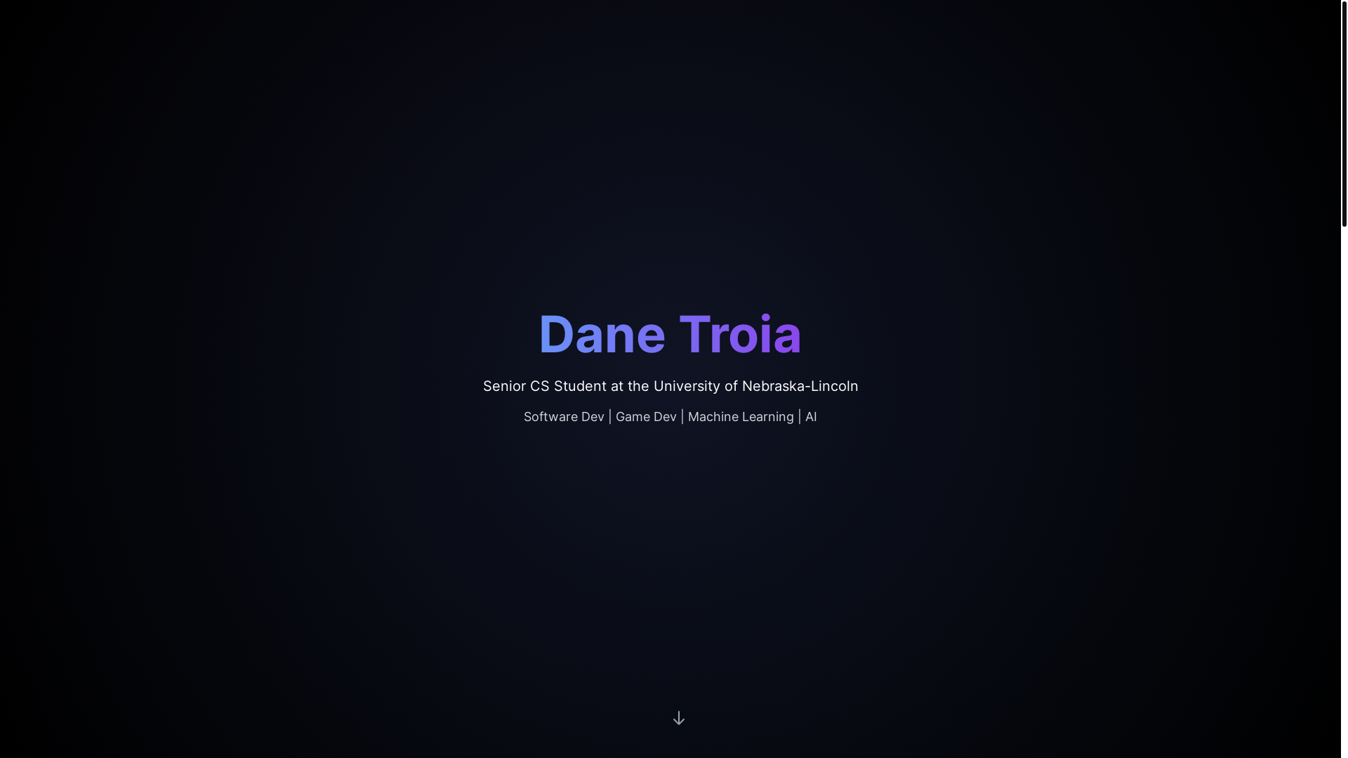 website screenshot of https://danetroiadev.com/