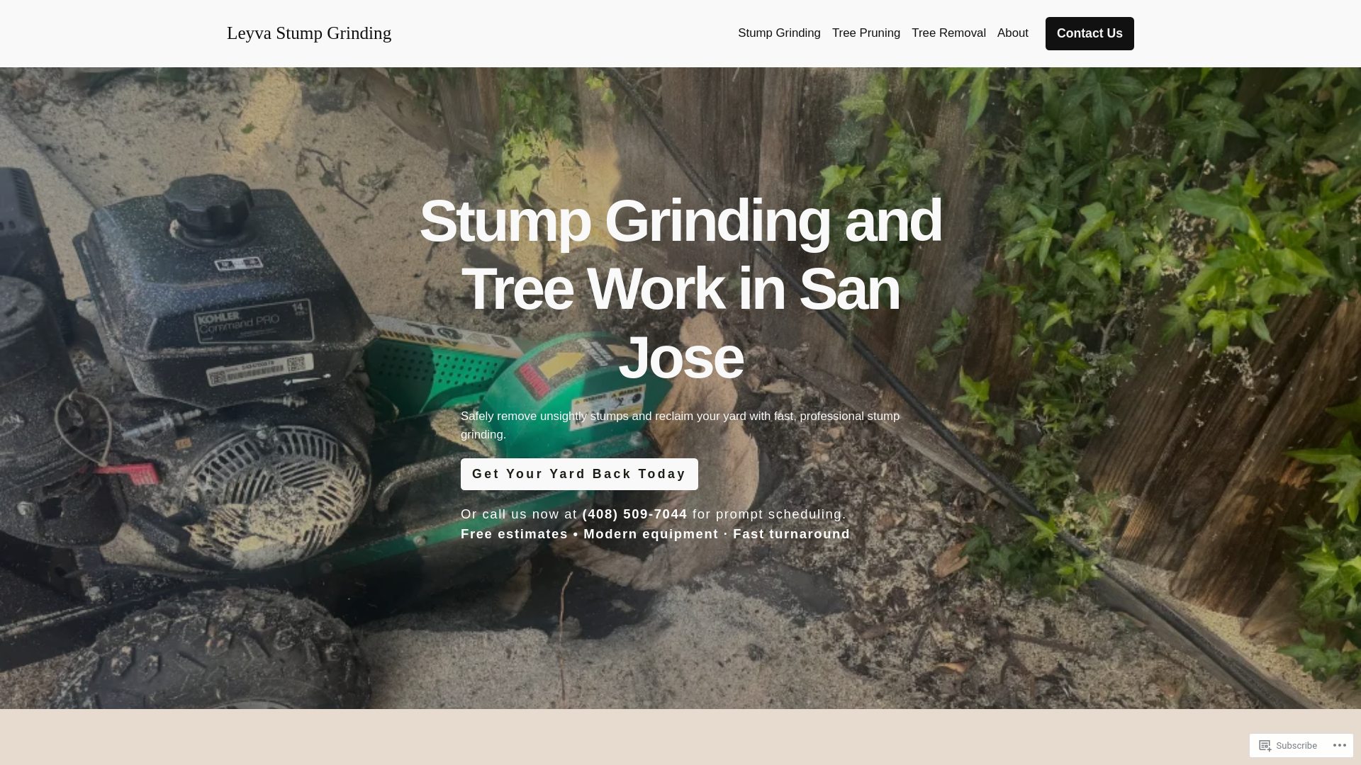 website screenshot of https://leyvastumps.com