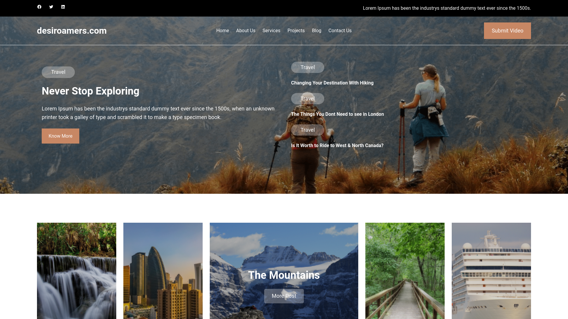 website screenshot of https://desiroamers.com/