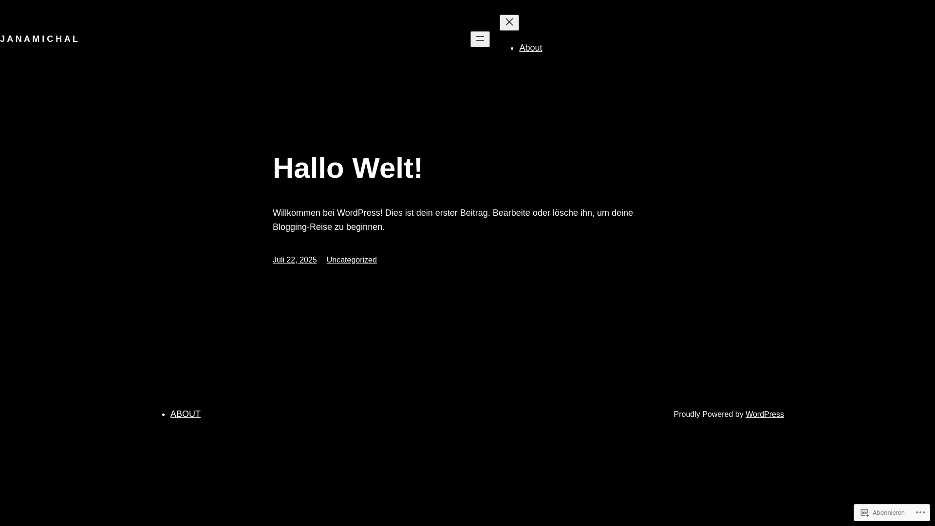 website screenshot of https://janamichal.de/