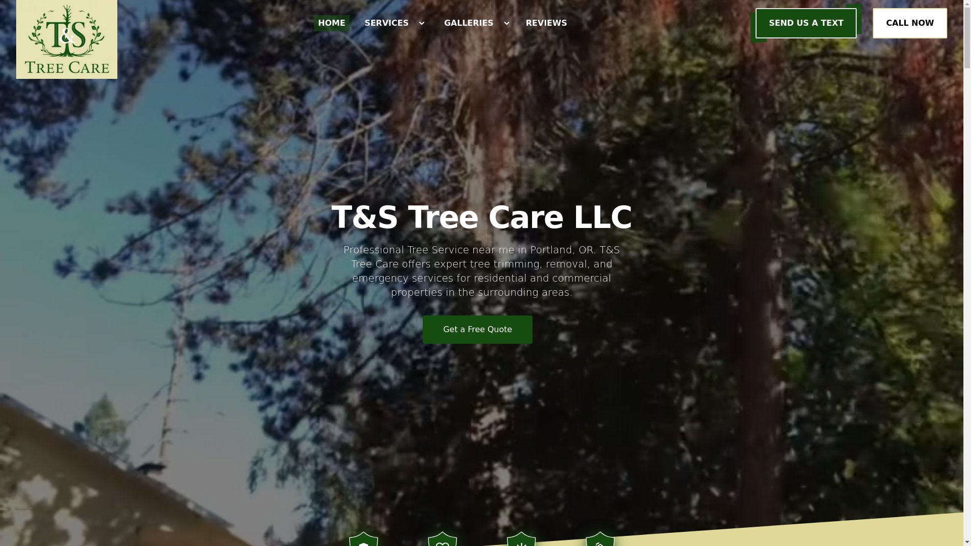 website screenshot of https://tstreecarellc.com/