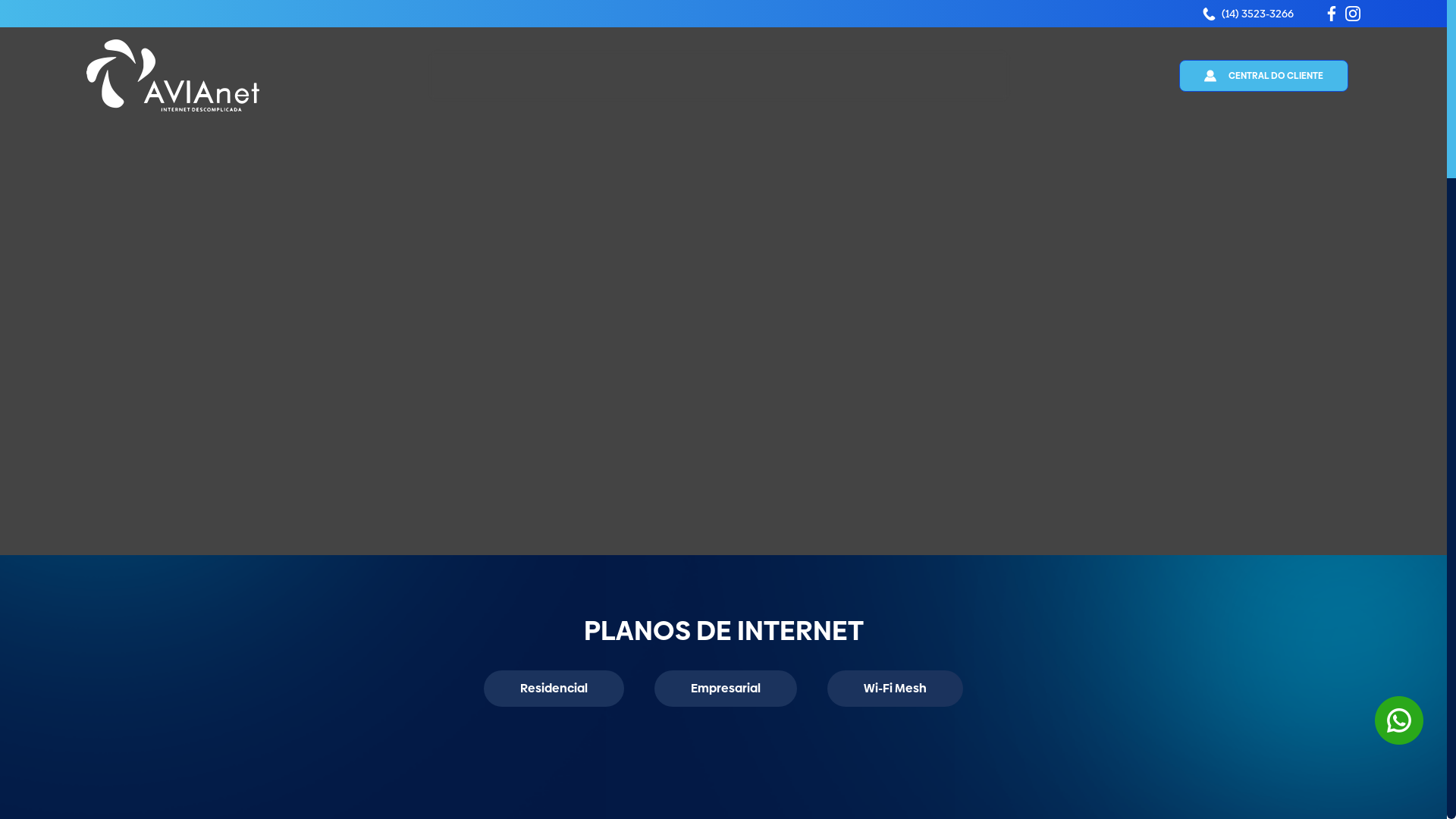 website screenshot of https://avianet.pages.dev/