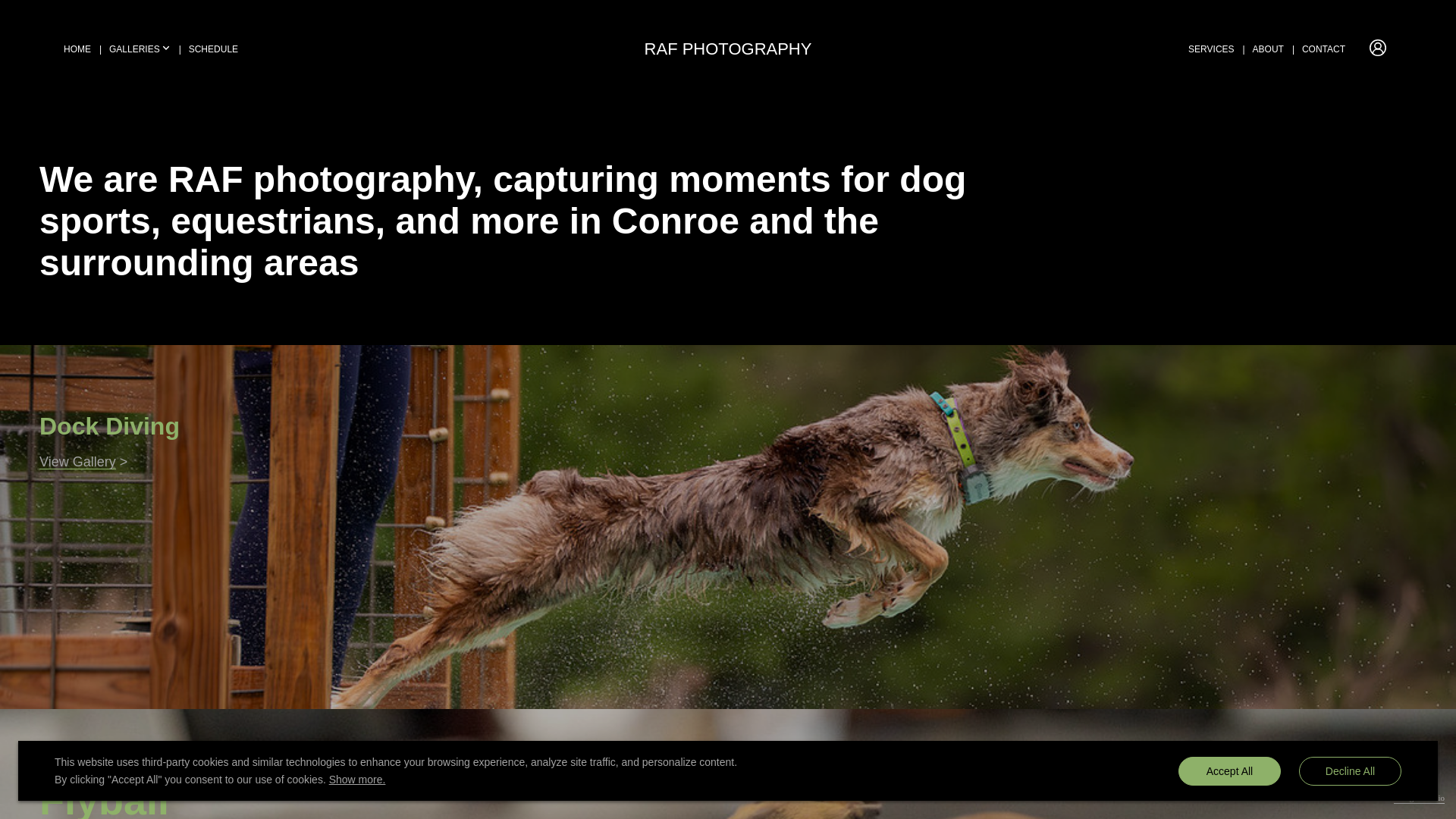 website screenshot of https://rafphotography.org/