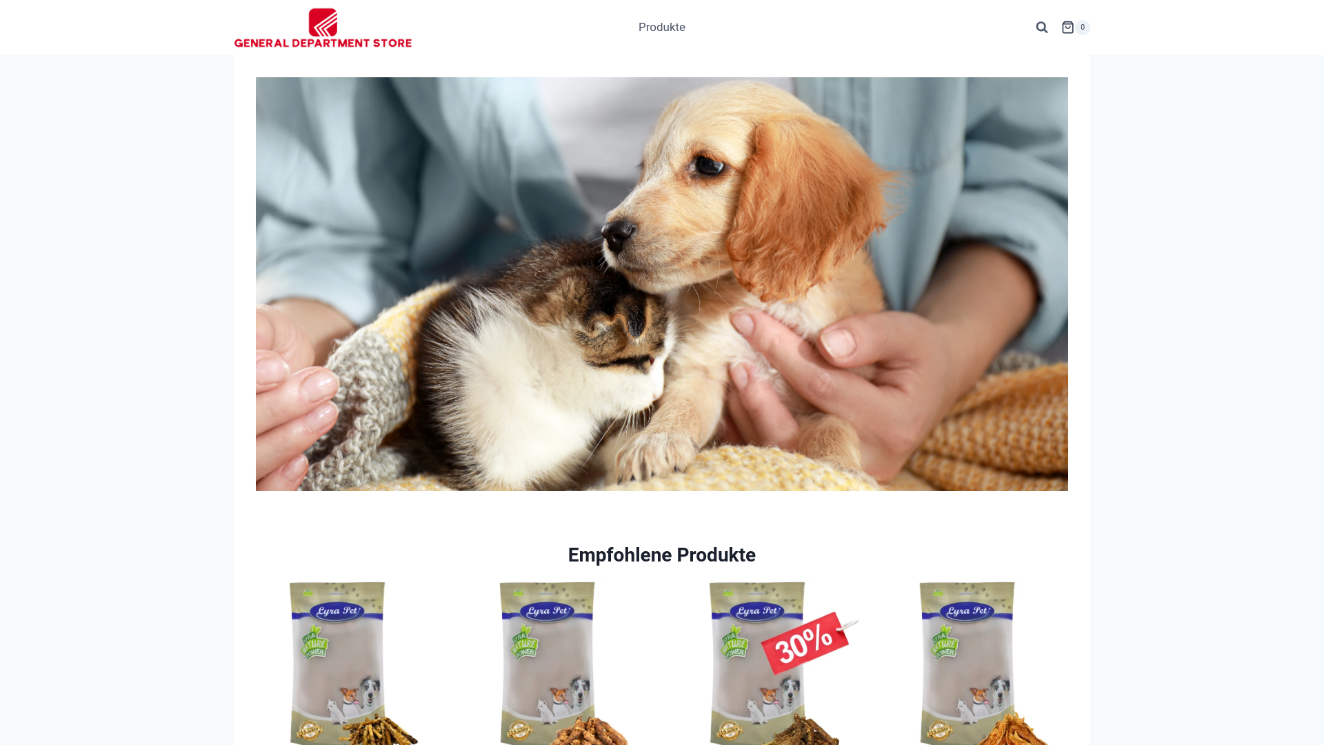 website screenshot of https://generaldepartmentstore.com/