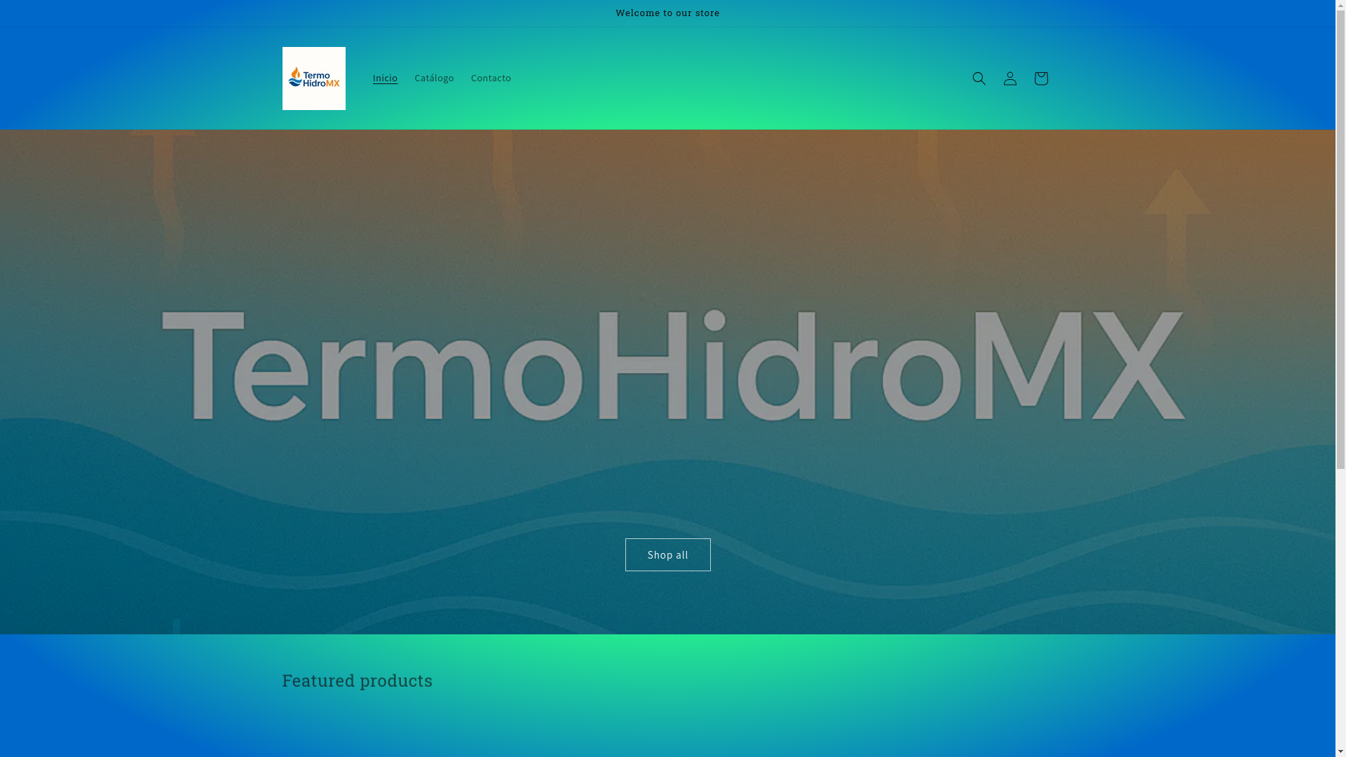 website screenshot of https://termohidromx.com/