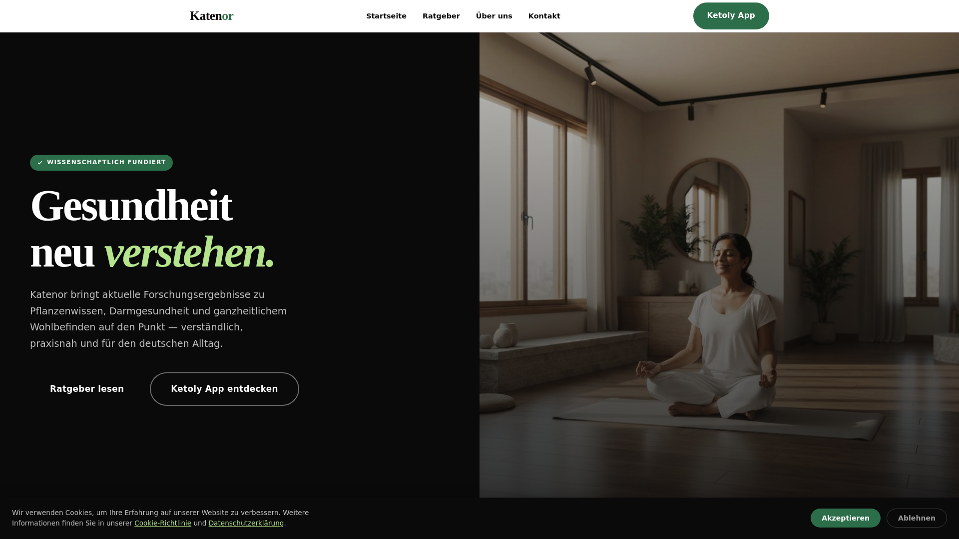 website screenshot of https://katenor.info/