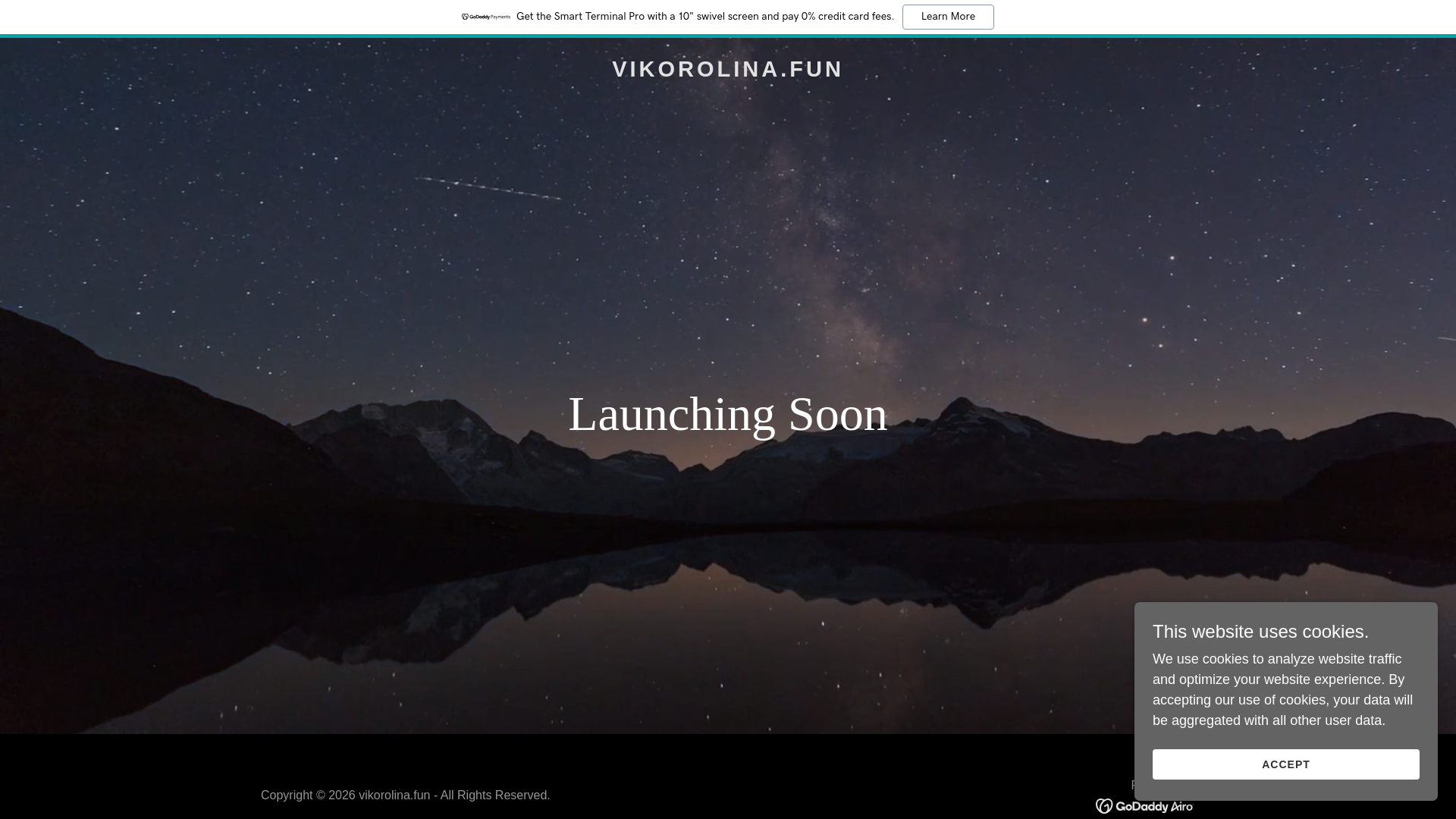 website screenshot of https://vikorolina.fun/