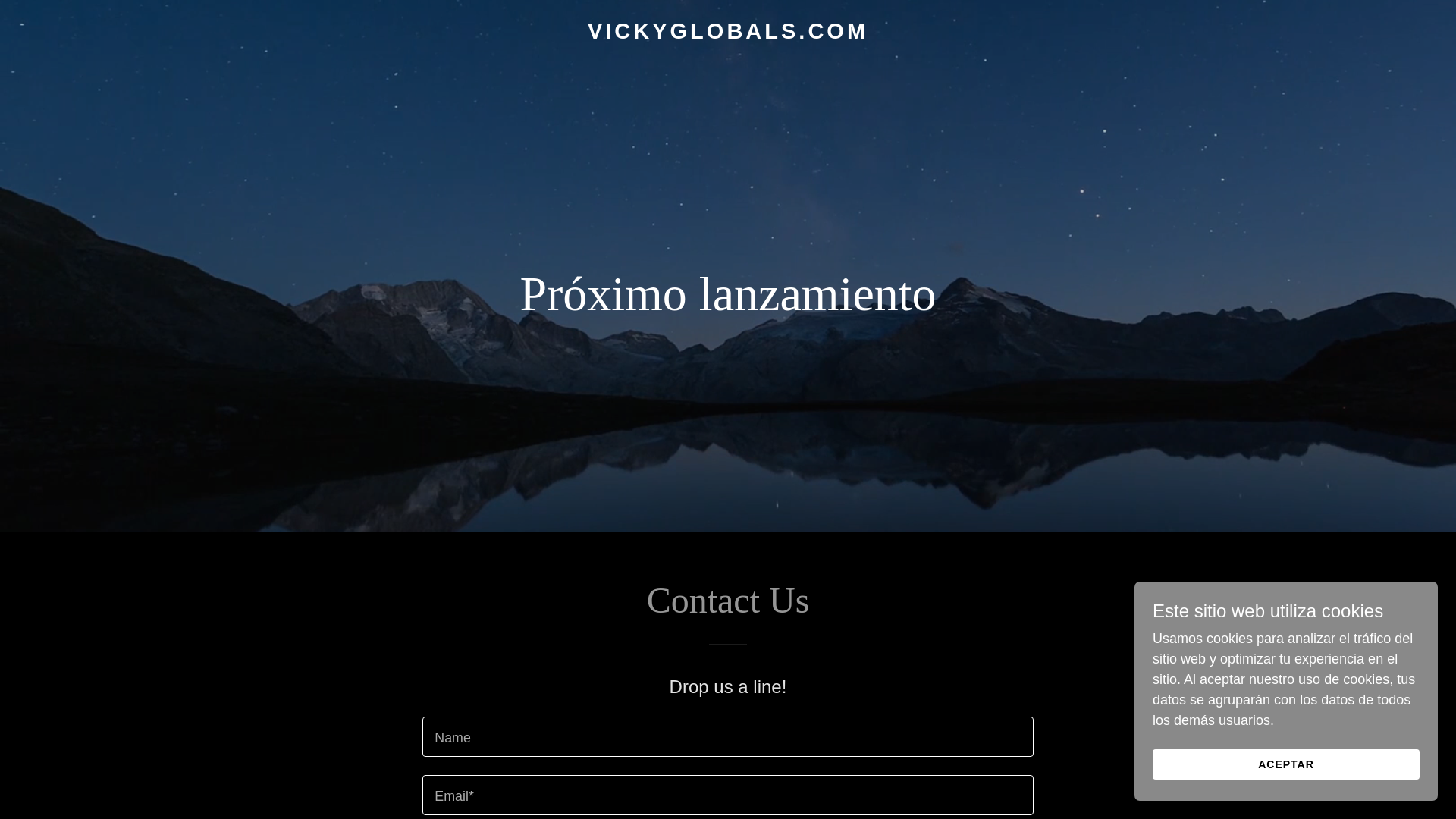 website screenshot of https://vickyglobals.com/