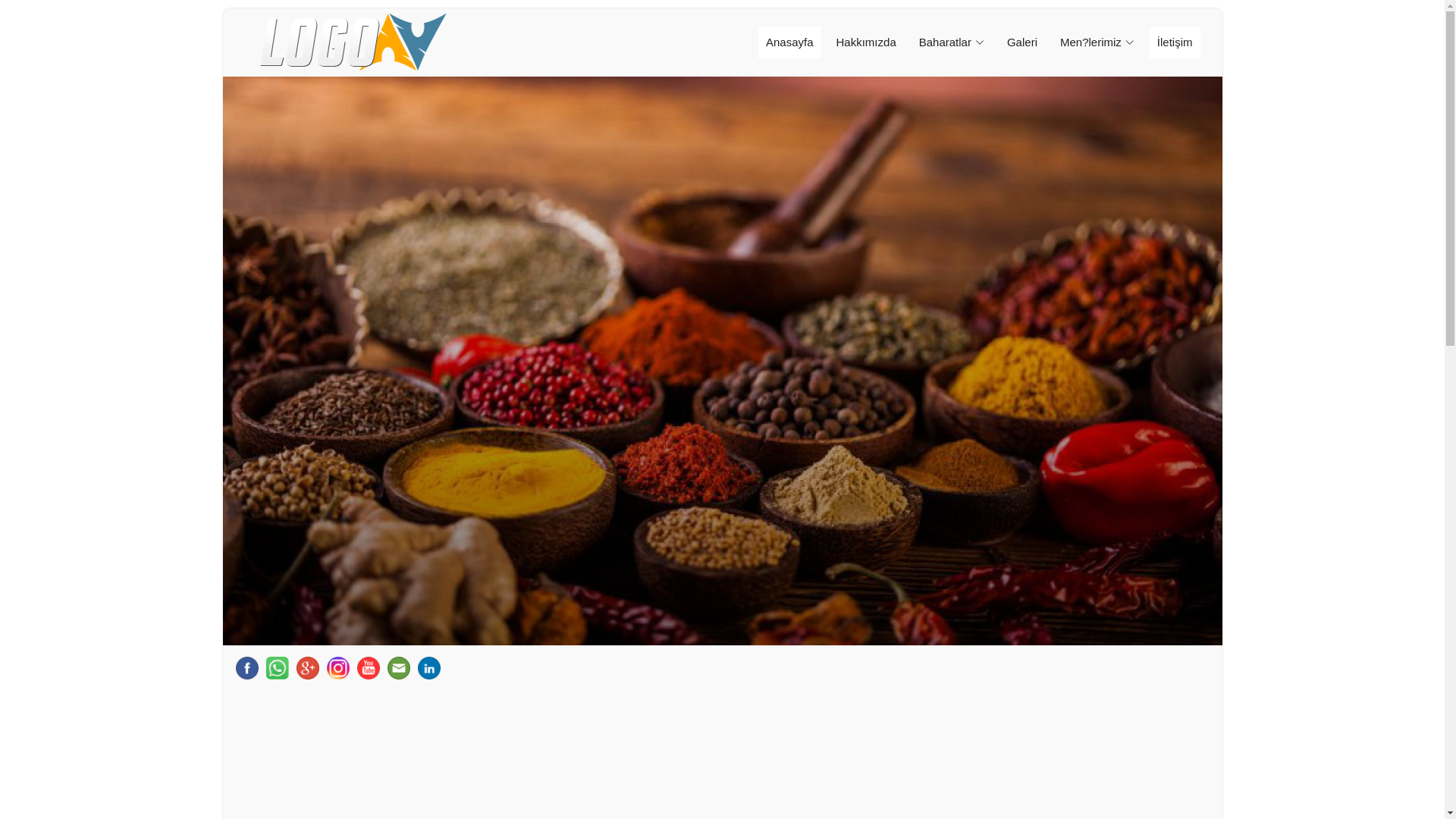 website screenshot of https://bodrumelektriksihhitesisat.com/