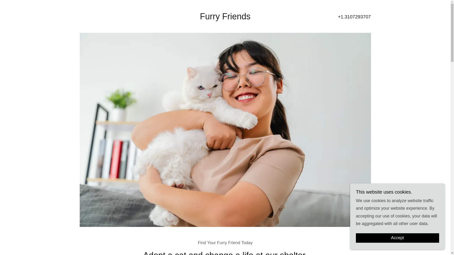 website screenshot of https://catadoptionlosangeles.com/
