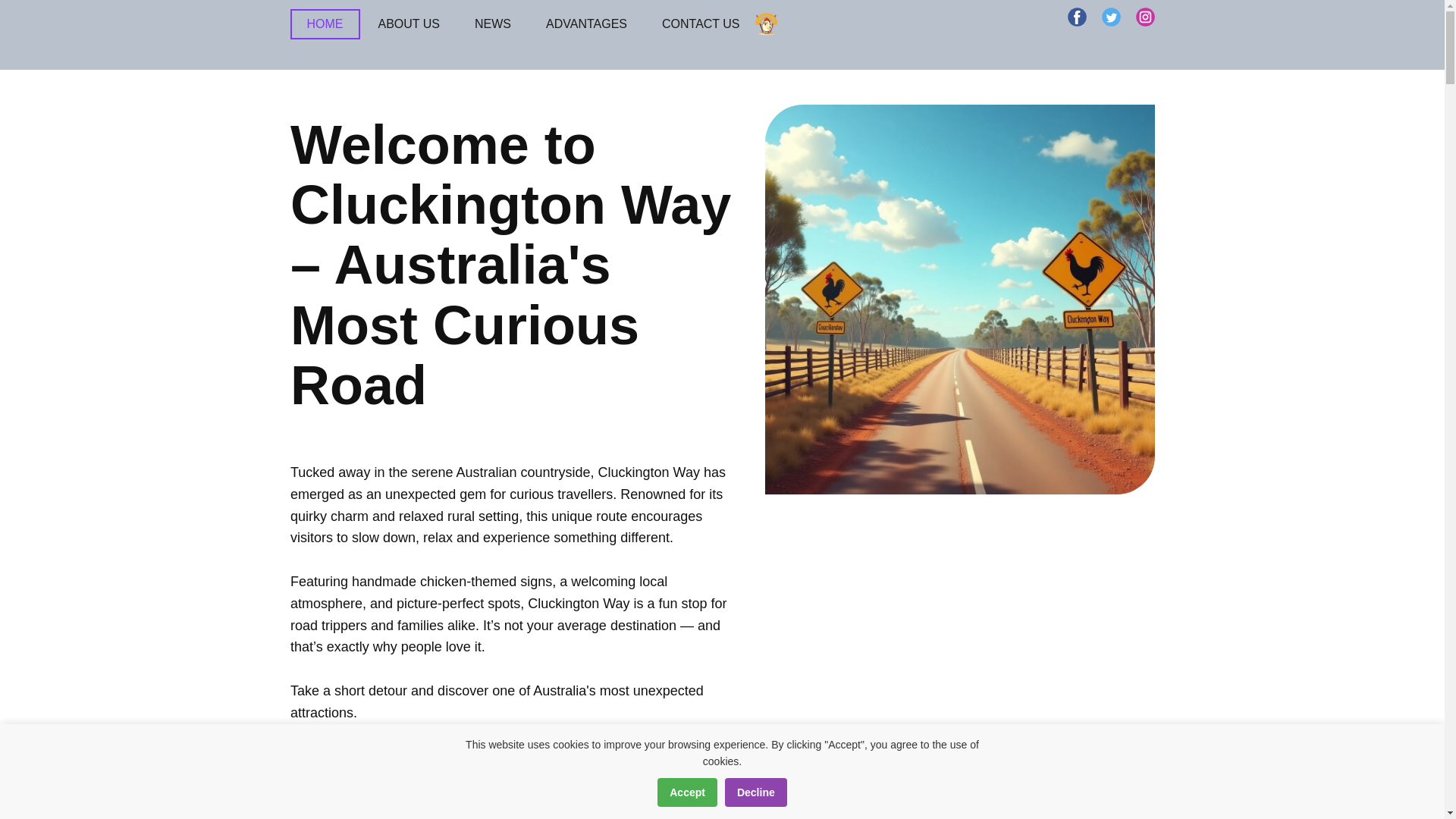 website screenshot of https://crazychickenroad.pro/