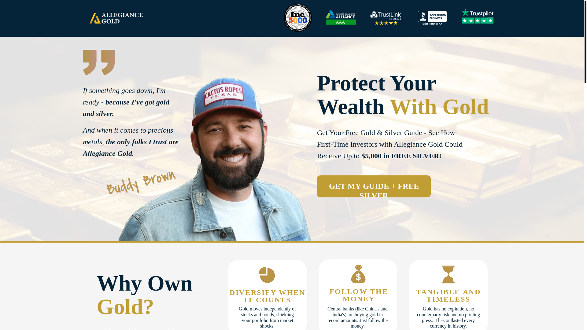 website screenshot of https://thegoldprotection.com/