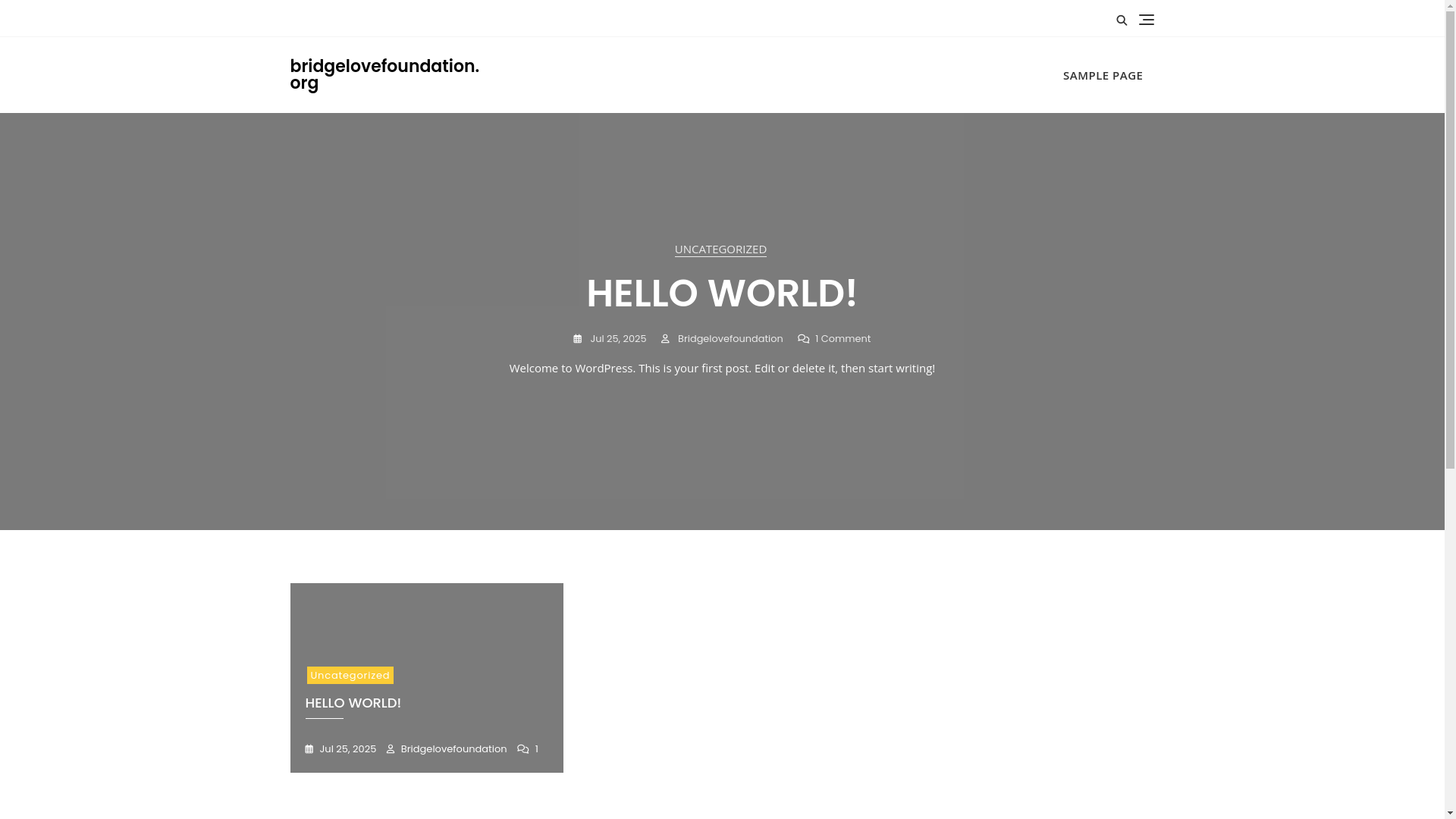 website screenshot of https://bridgelovefoundation.org/