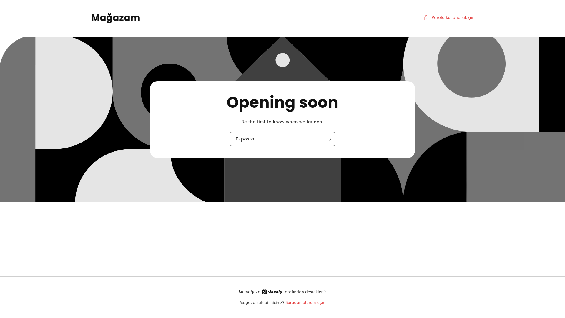 website screenshot of https://thealviva.com/