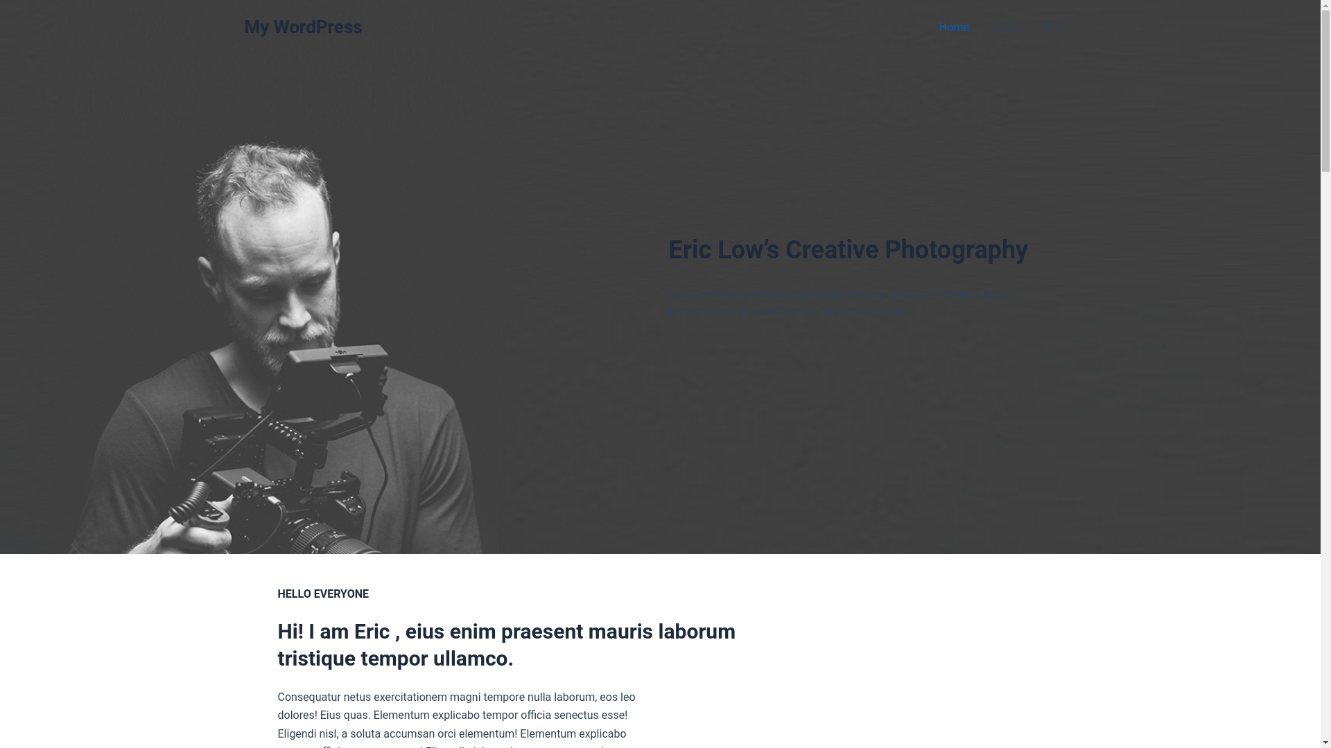 website screenshot of https://xxsilverwings.com/