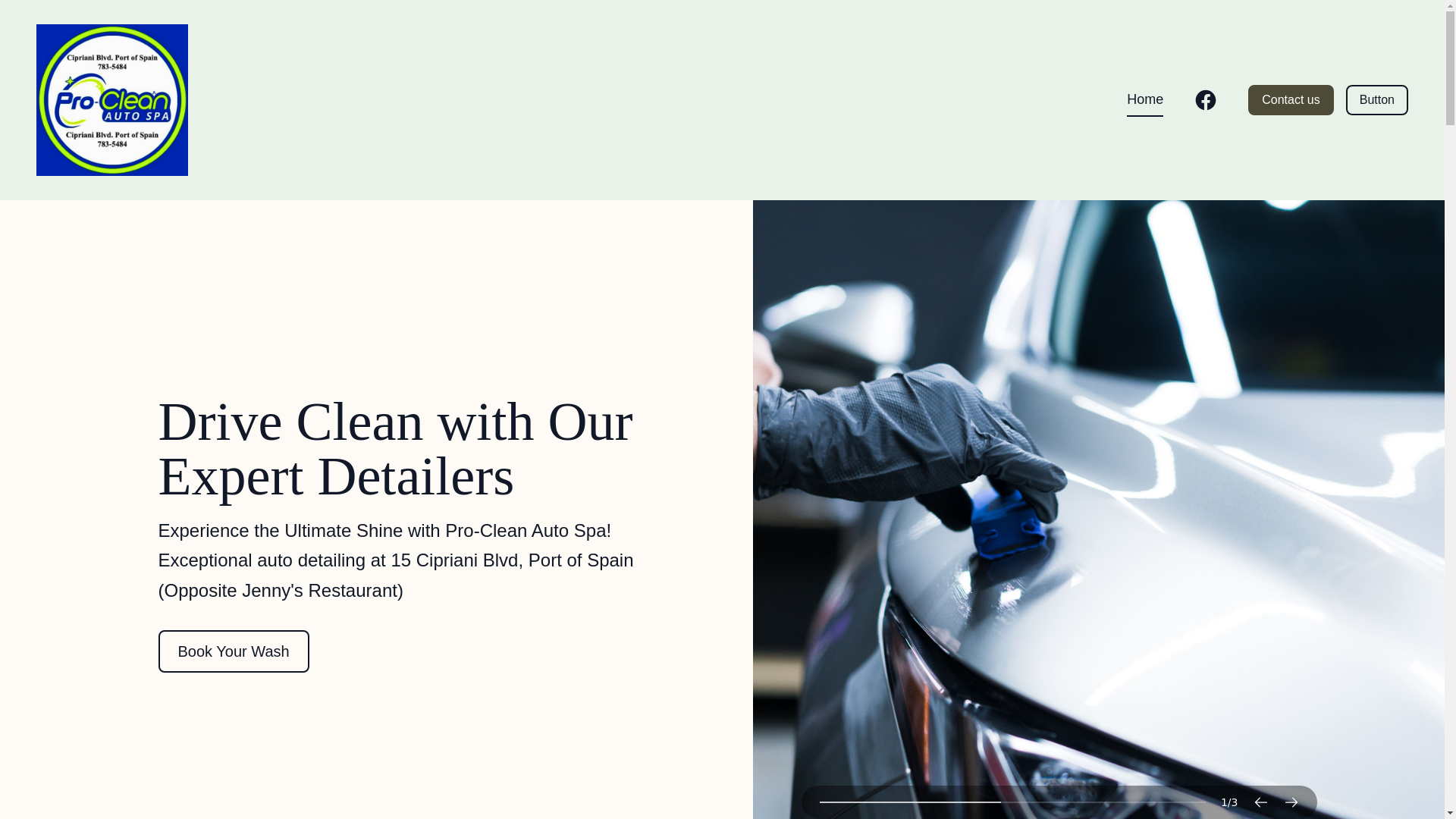 website screenshot of https://pro-cleanautospa.com/