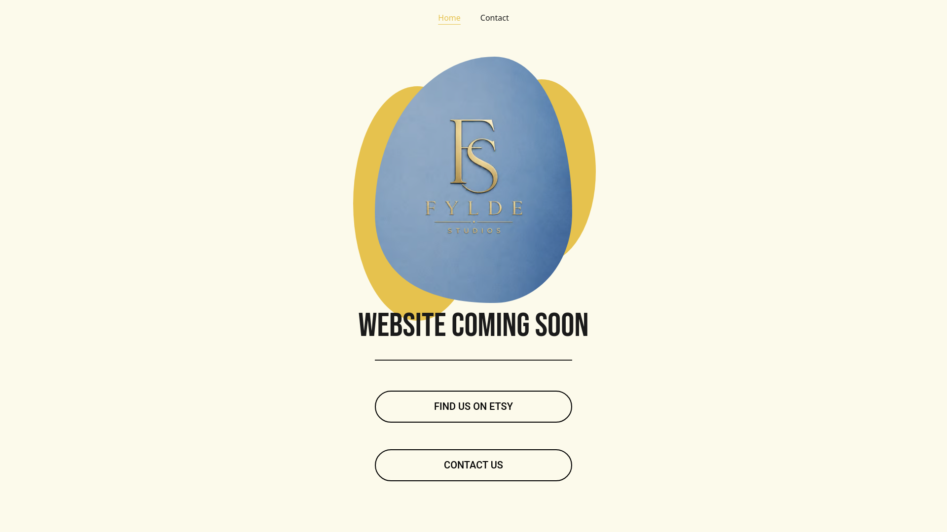 website screenshot of https://fyldestudios.co.uk/
