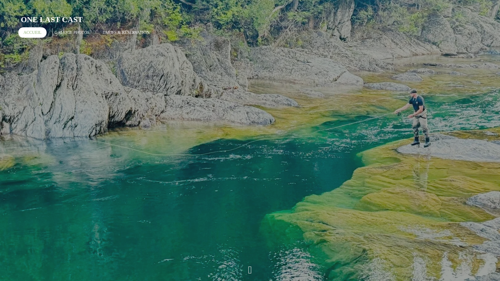 website screenshot of https://onelastcastbdc.ca