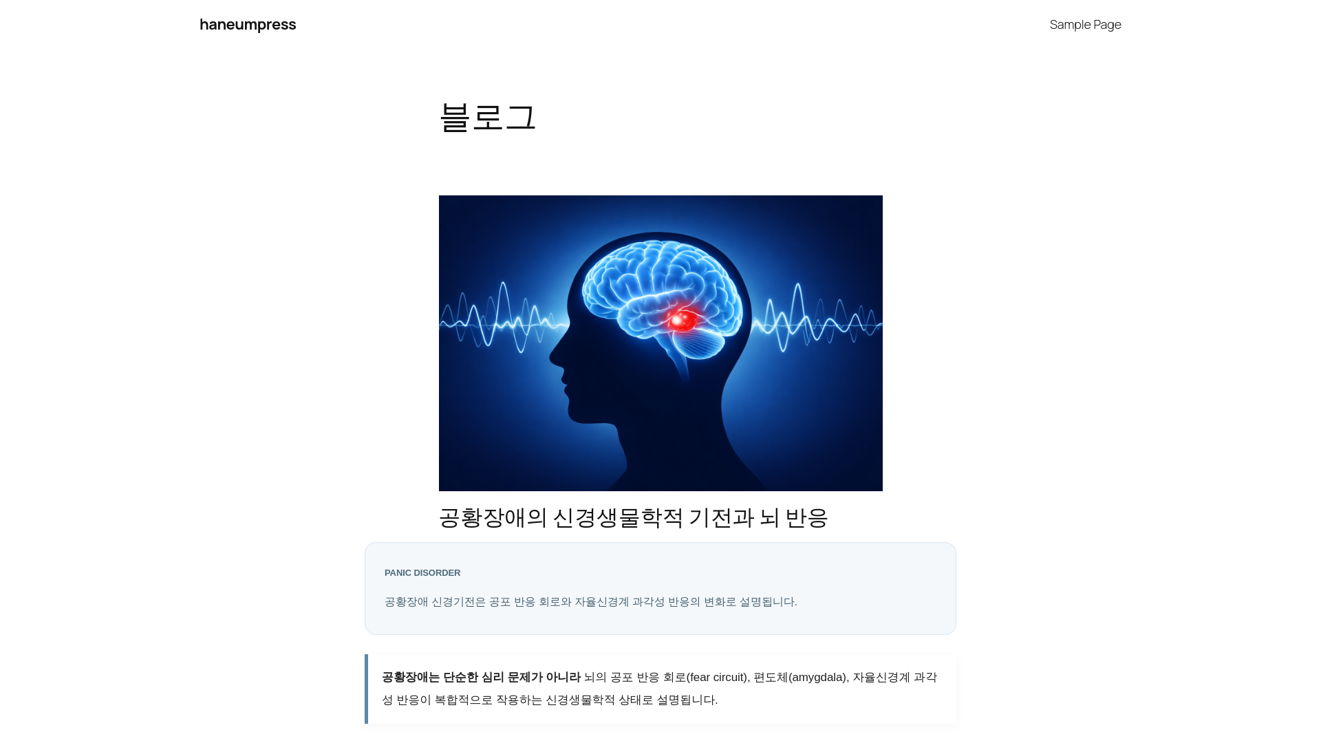 website screenshot of https://haneumnetworkblog.com/