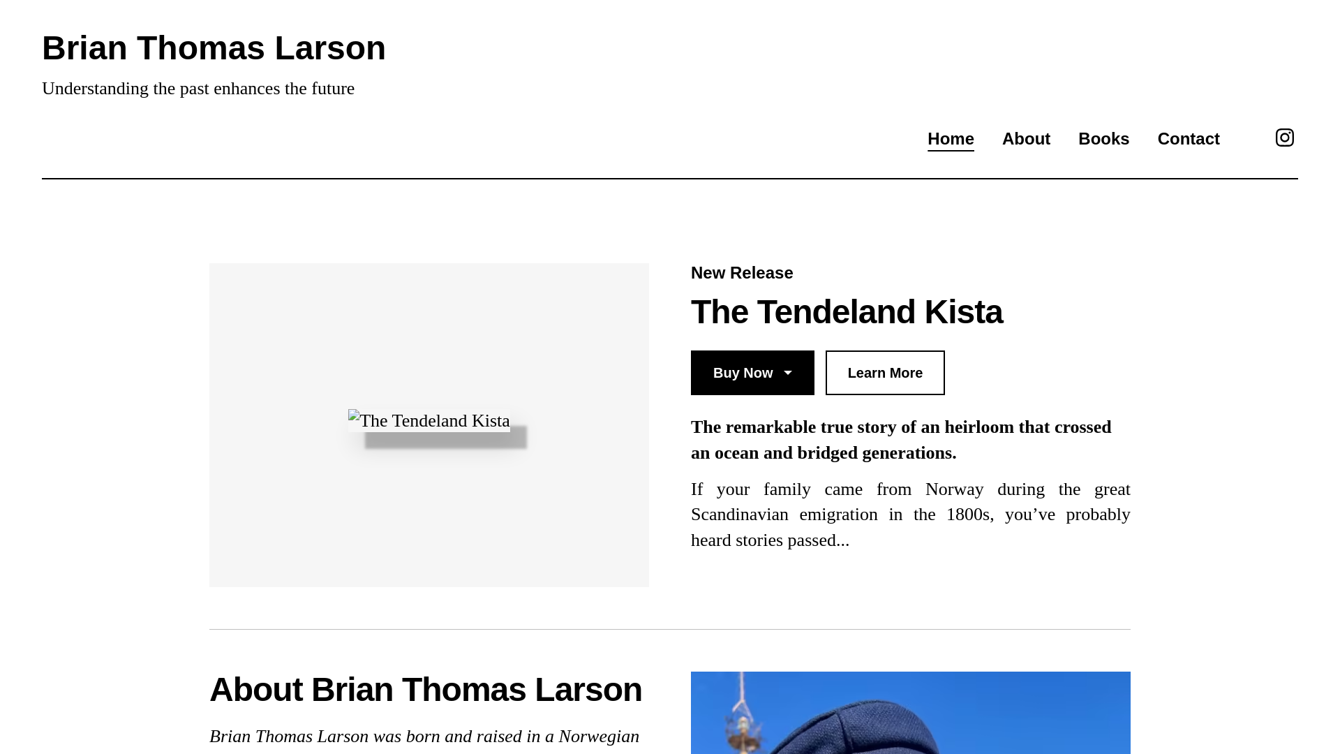 website screenshot of https://brianthomaslarsonauthor.com/
