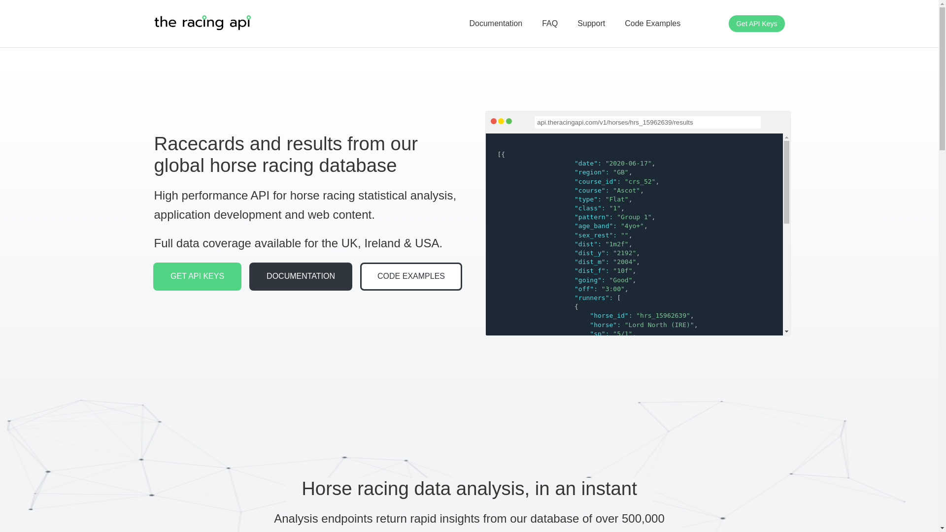 website screenshot of https://www.theracingapi.com/