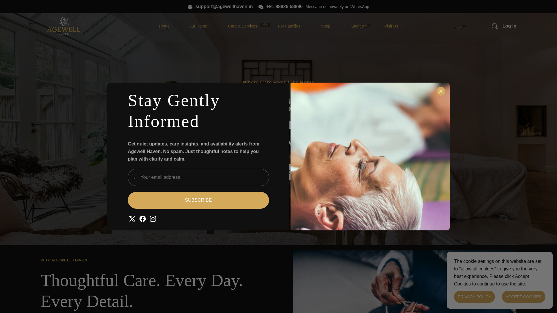 website screenshot of https://agewellhaven.in/