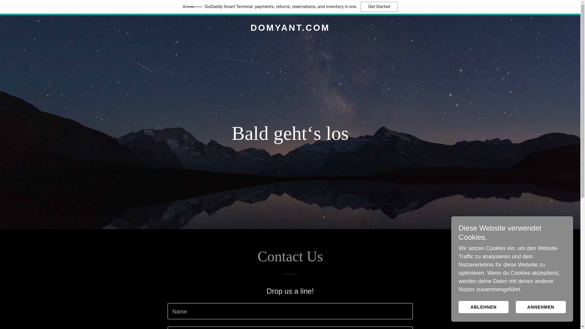 website screenshot of https://domyant.com/