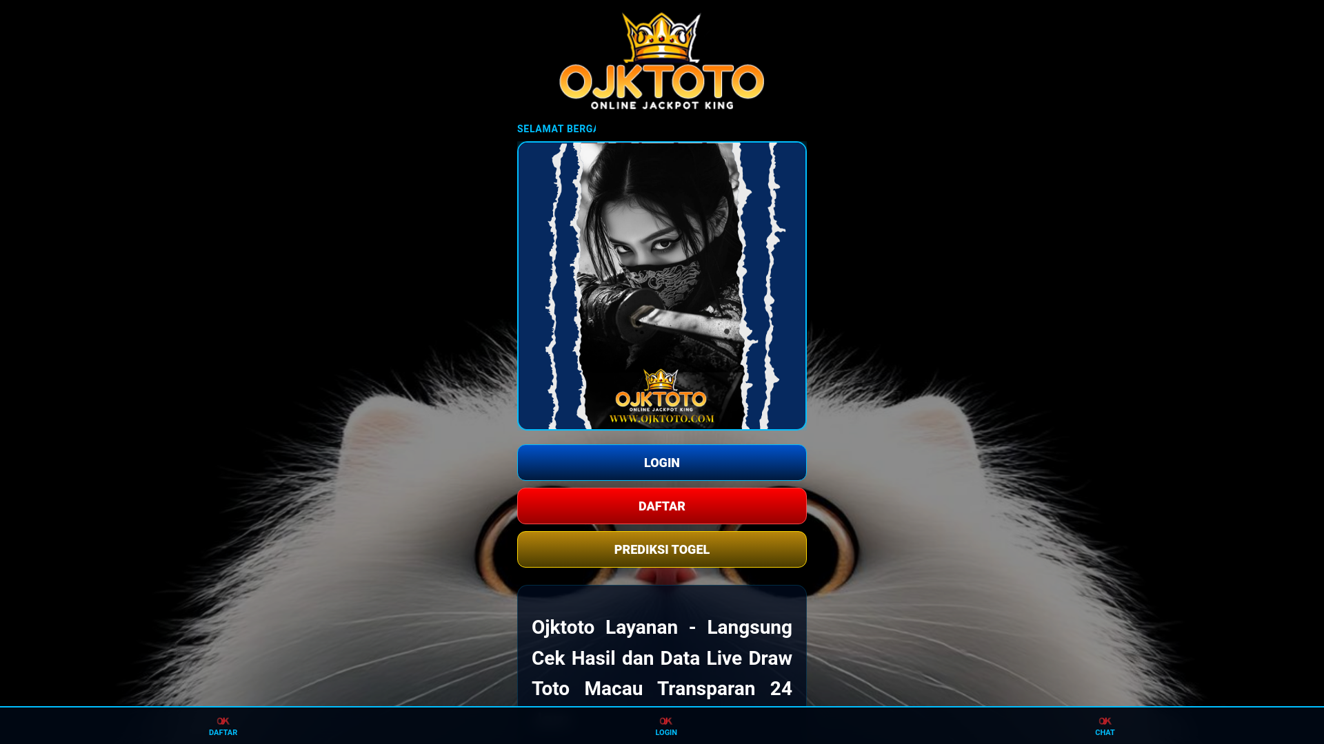 website screenshot of https://shreeriddhisiddhi-contact.pages.dev/