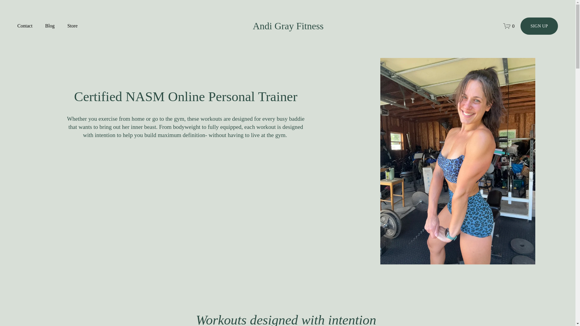 website screenshot of https://andigrayfitness.com/