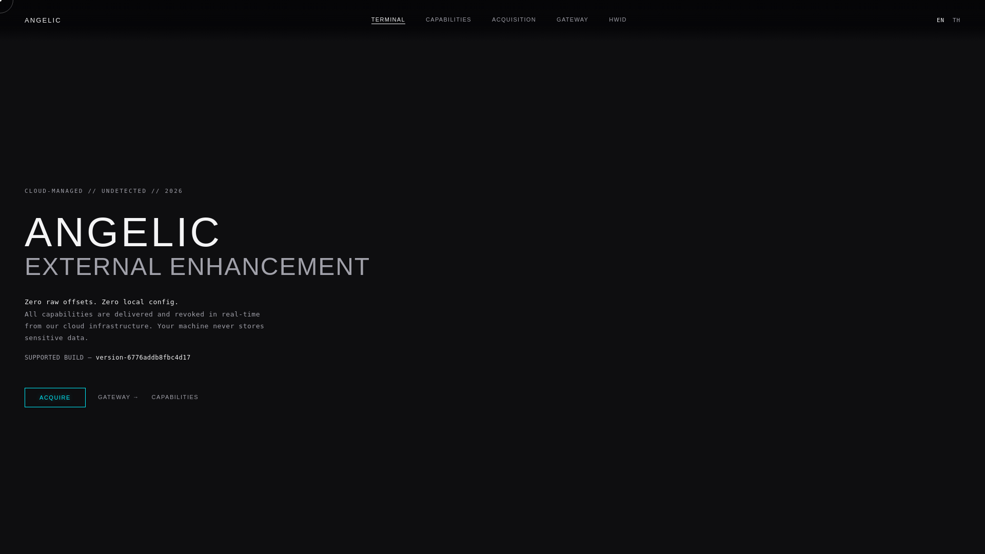 website screenshot of https://angelic-external.pro