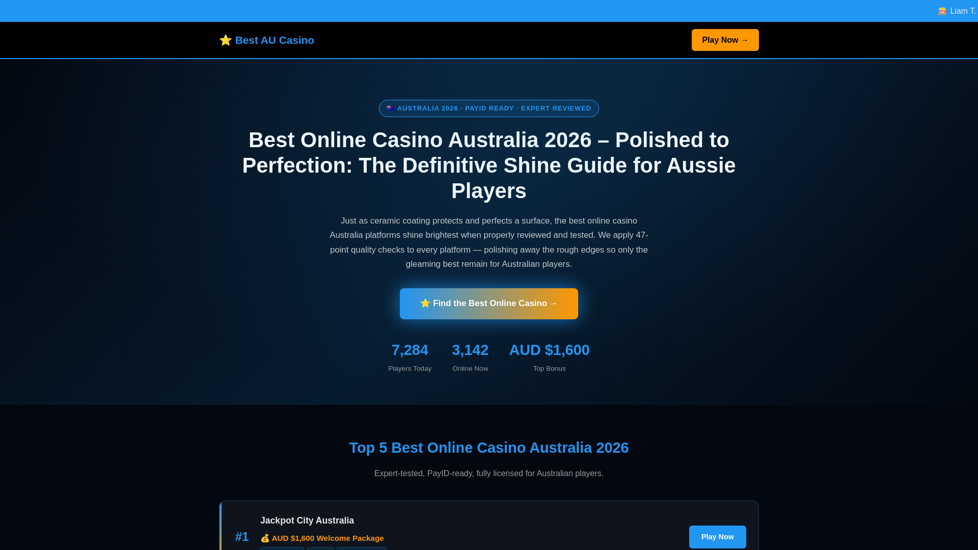 website screenshot of https://ceramiccoatingreviews-com.pages.dev/