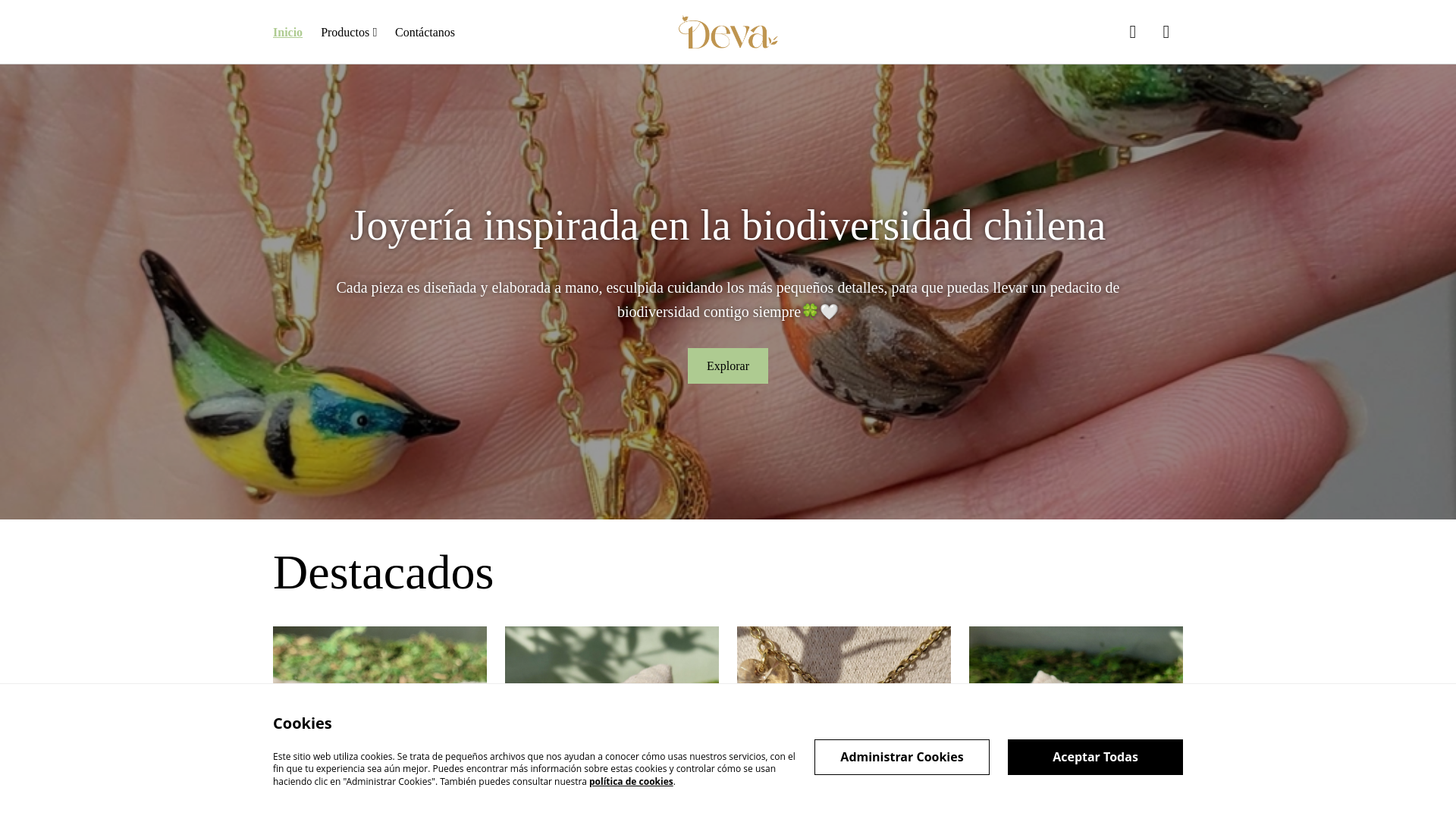 website screenshot of https://devajoyeria.cl/