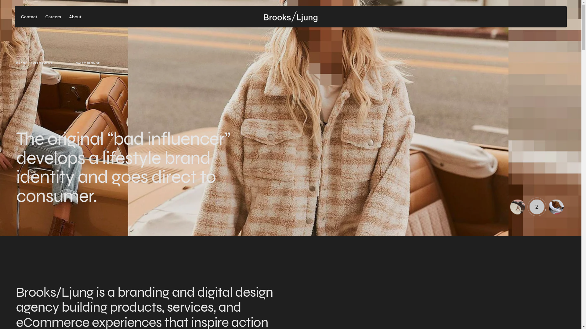 website screenshot of https://workbrooksljungtoday.com/