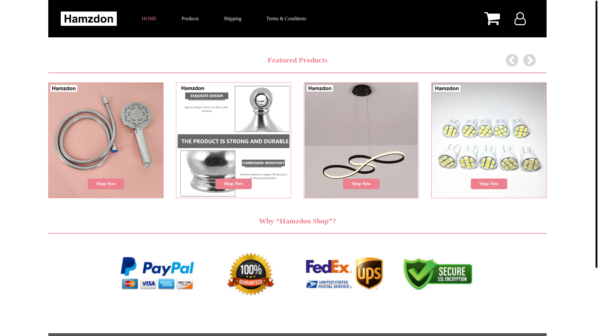 website screenshot of https://hamzdon-product.xyz/