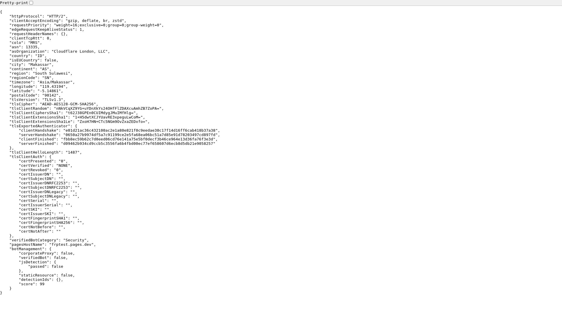 website screenshot of https://frptest.pages.dev/