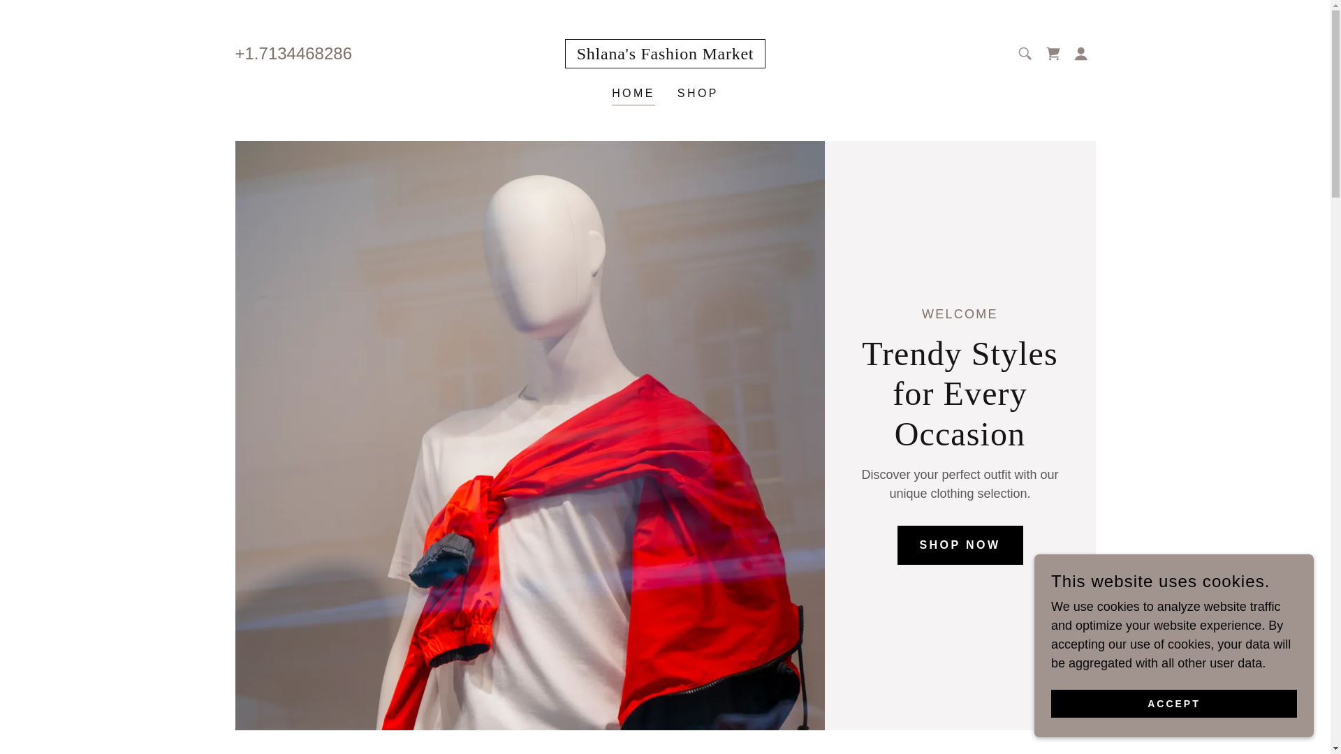 website screenshot of https://shlanasfashionmarket.shop/