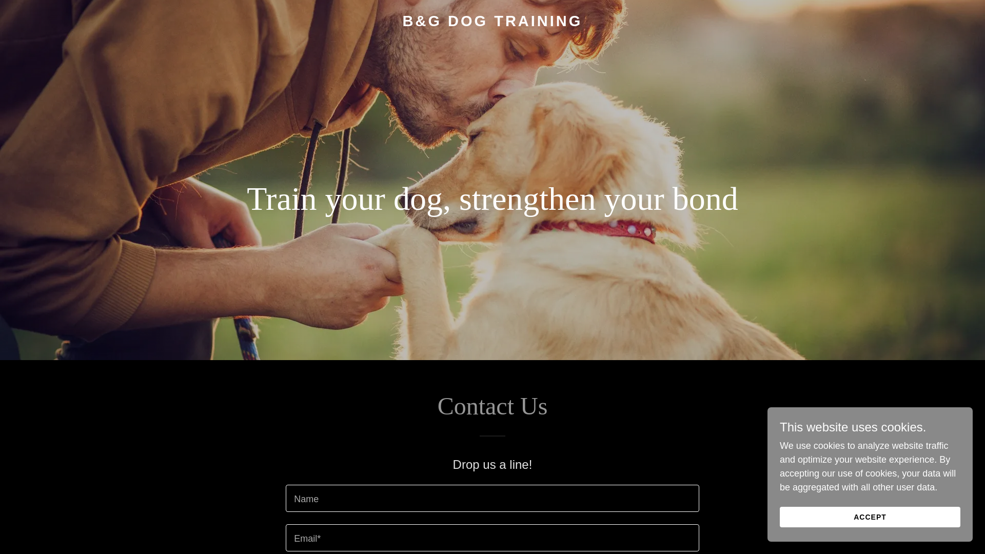website screenshot of https://bandgdogtraining.com/