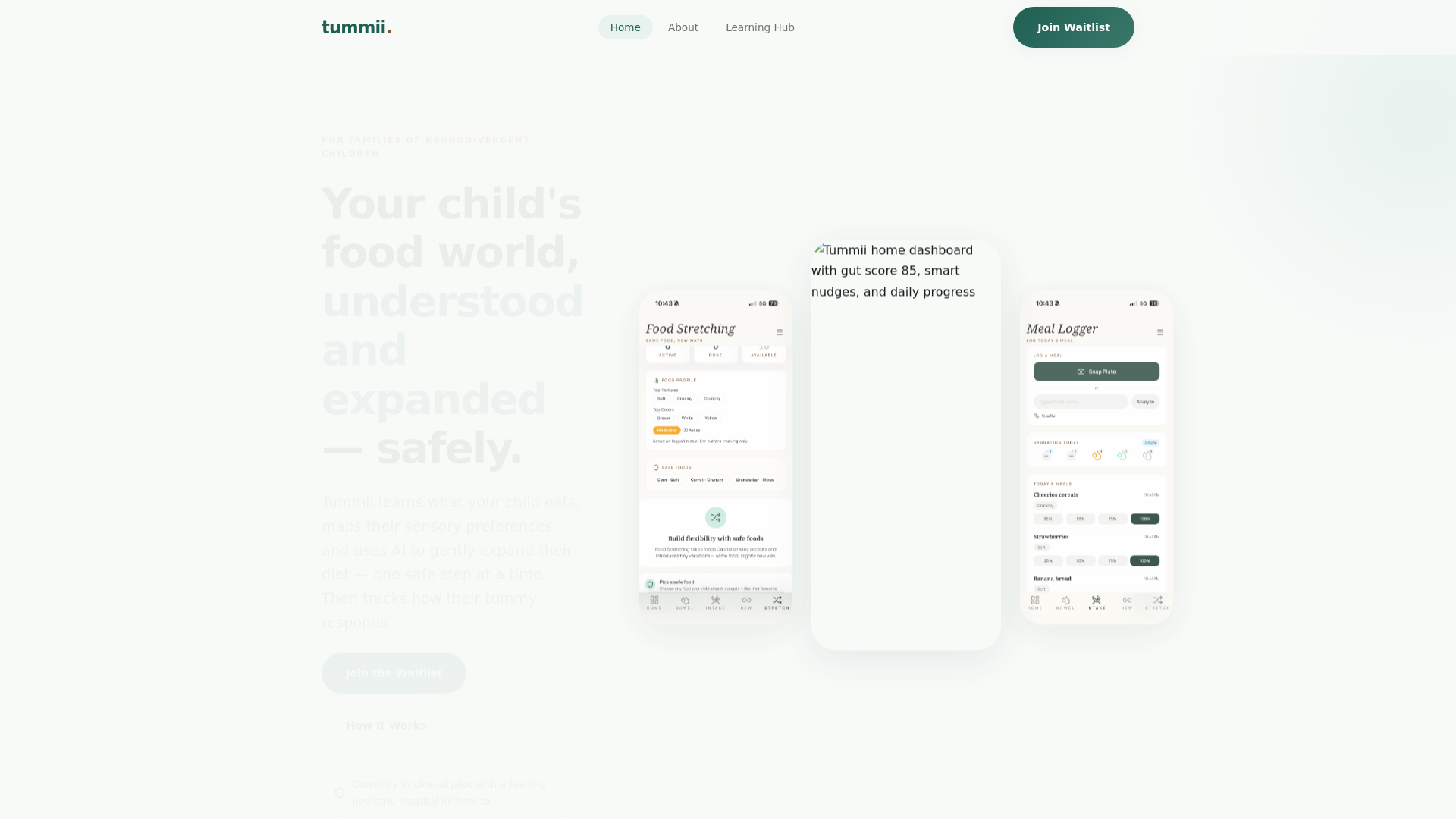 website screenshot of https://tummii-site.pages.dev/
