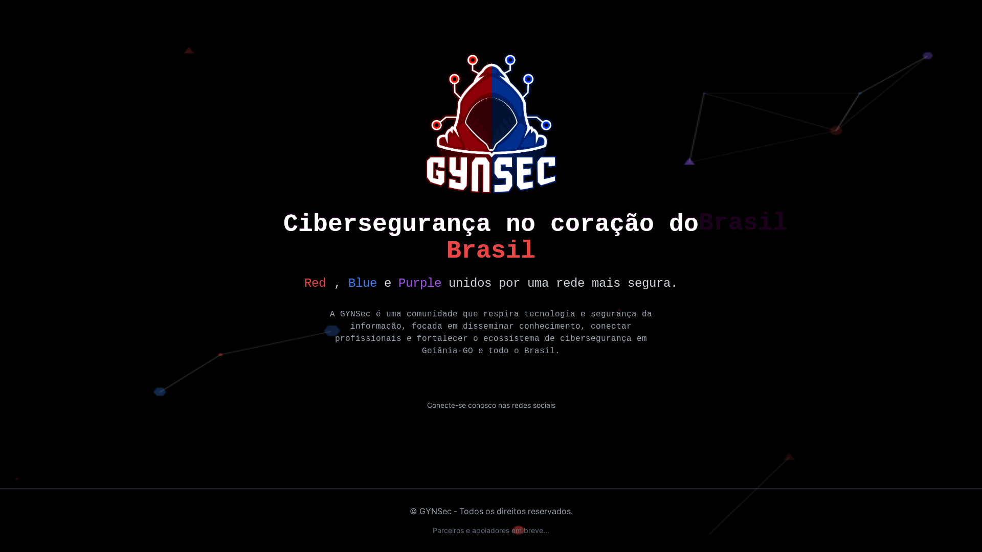 website screenshot of https://gynsec-web.pages.dev/