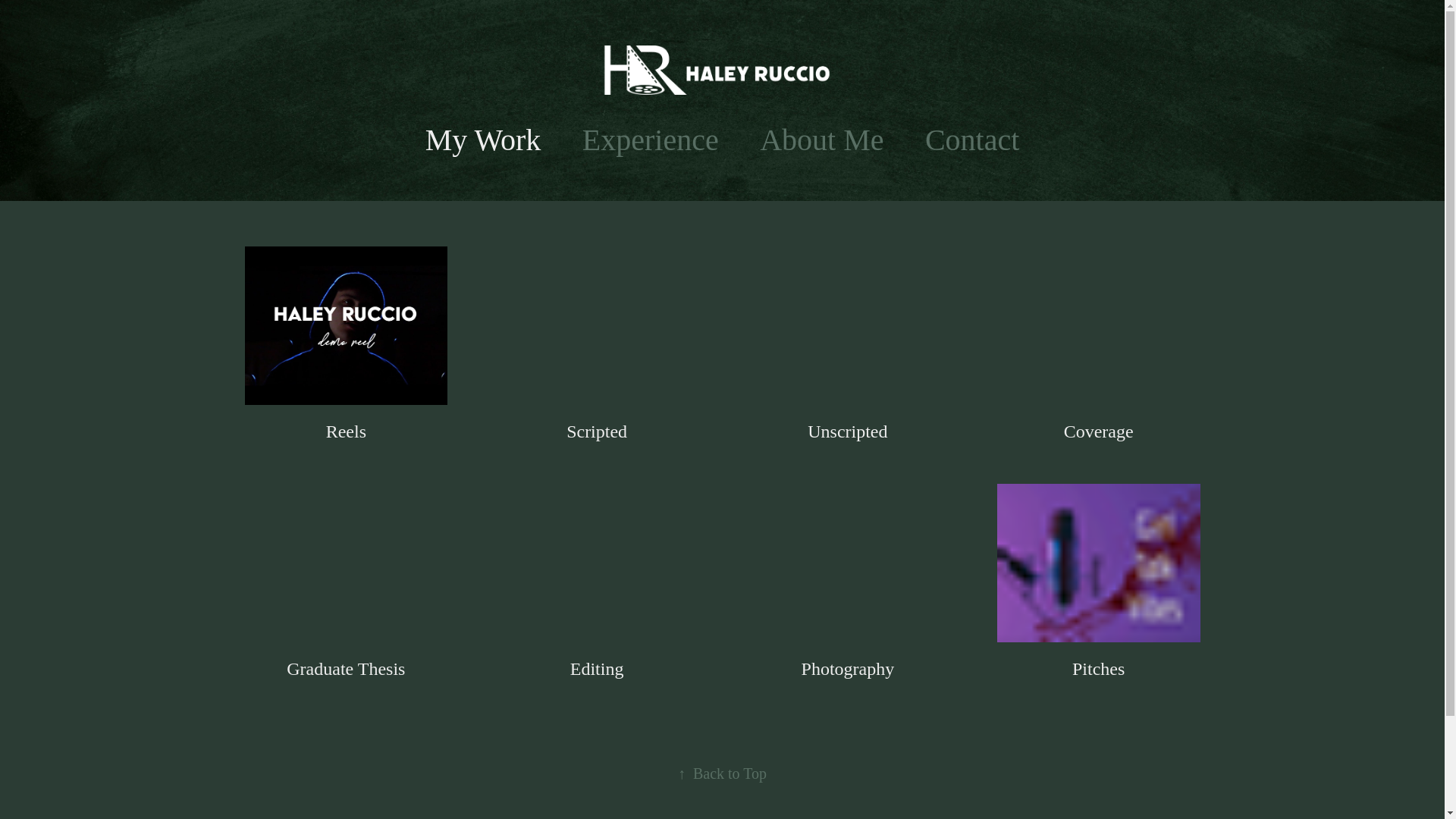 website screenshot of https://haleyruccio.com/