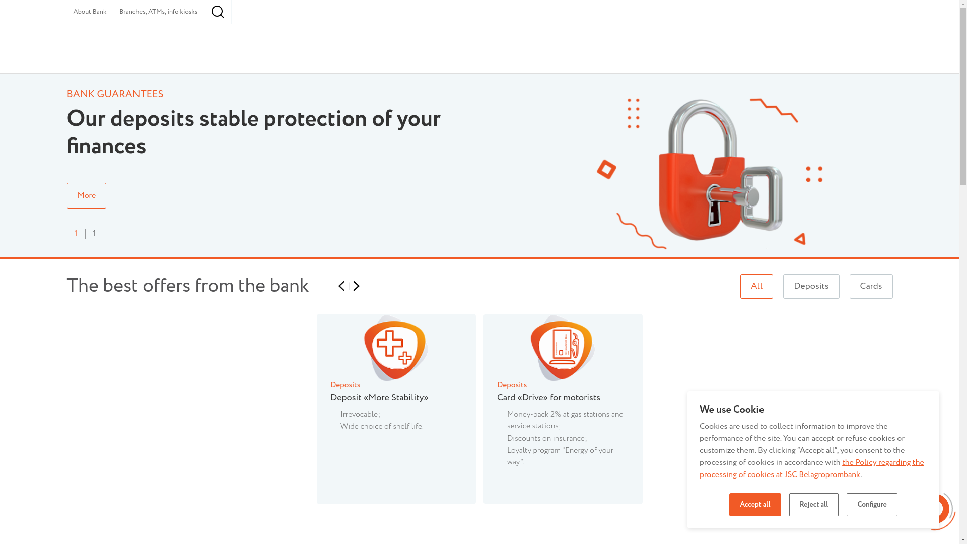 website screenshot of https://belapb.by