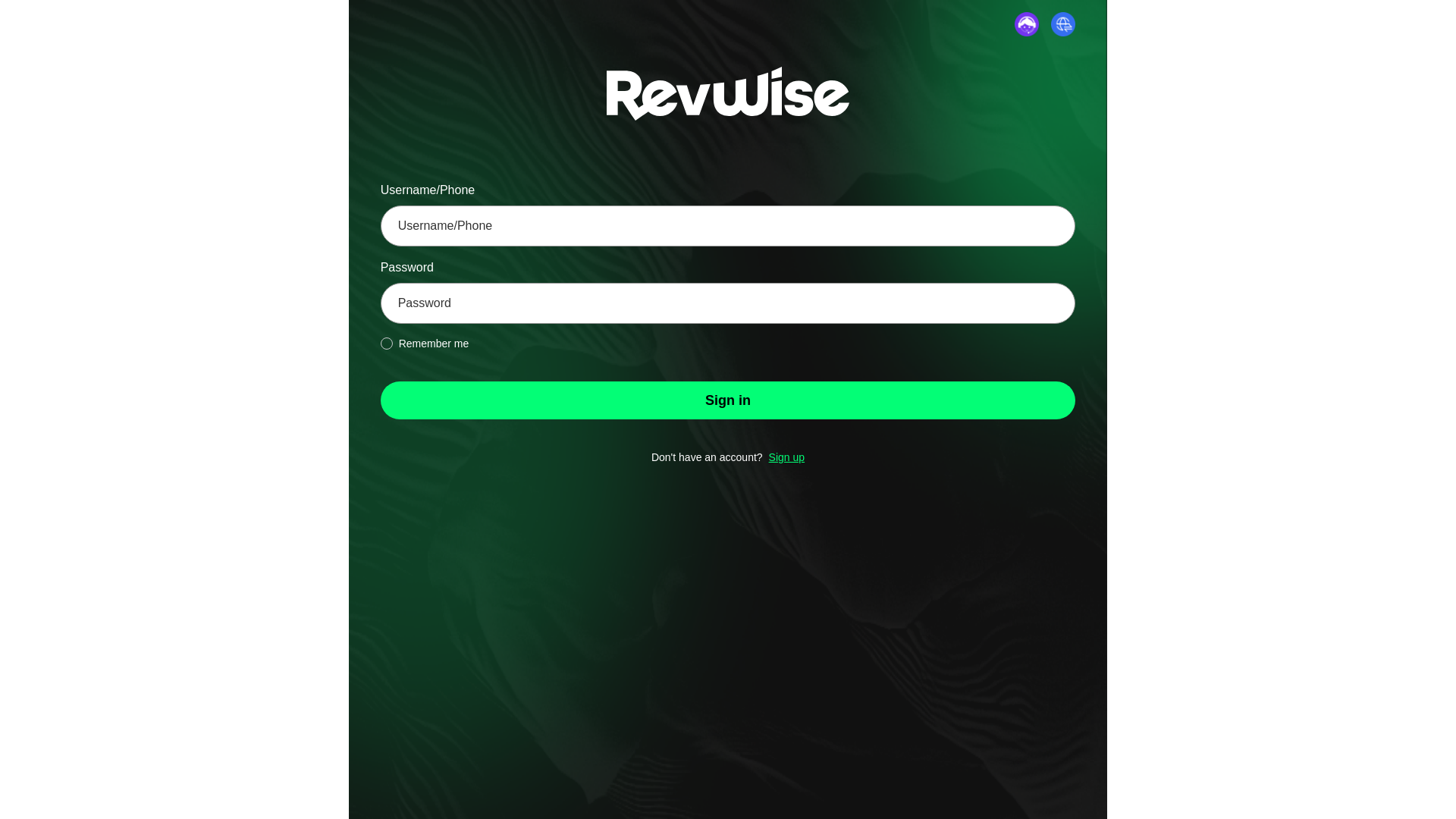 website screenshot of https://revwiseboost.com/
