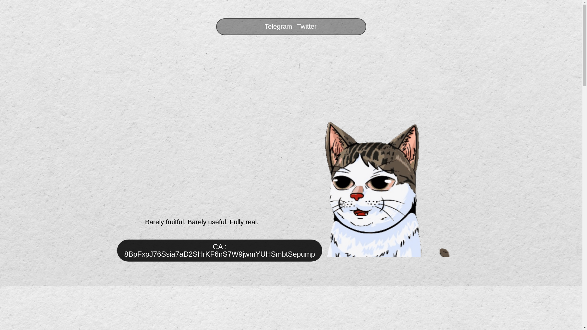 website screenshot of https://the-cat-btc.top/