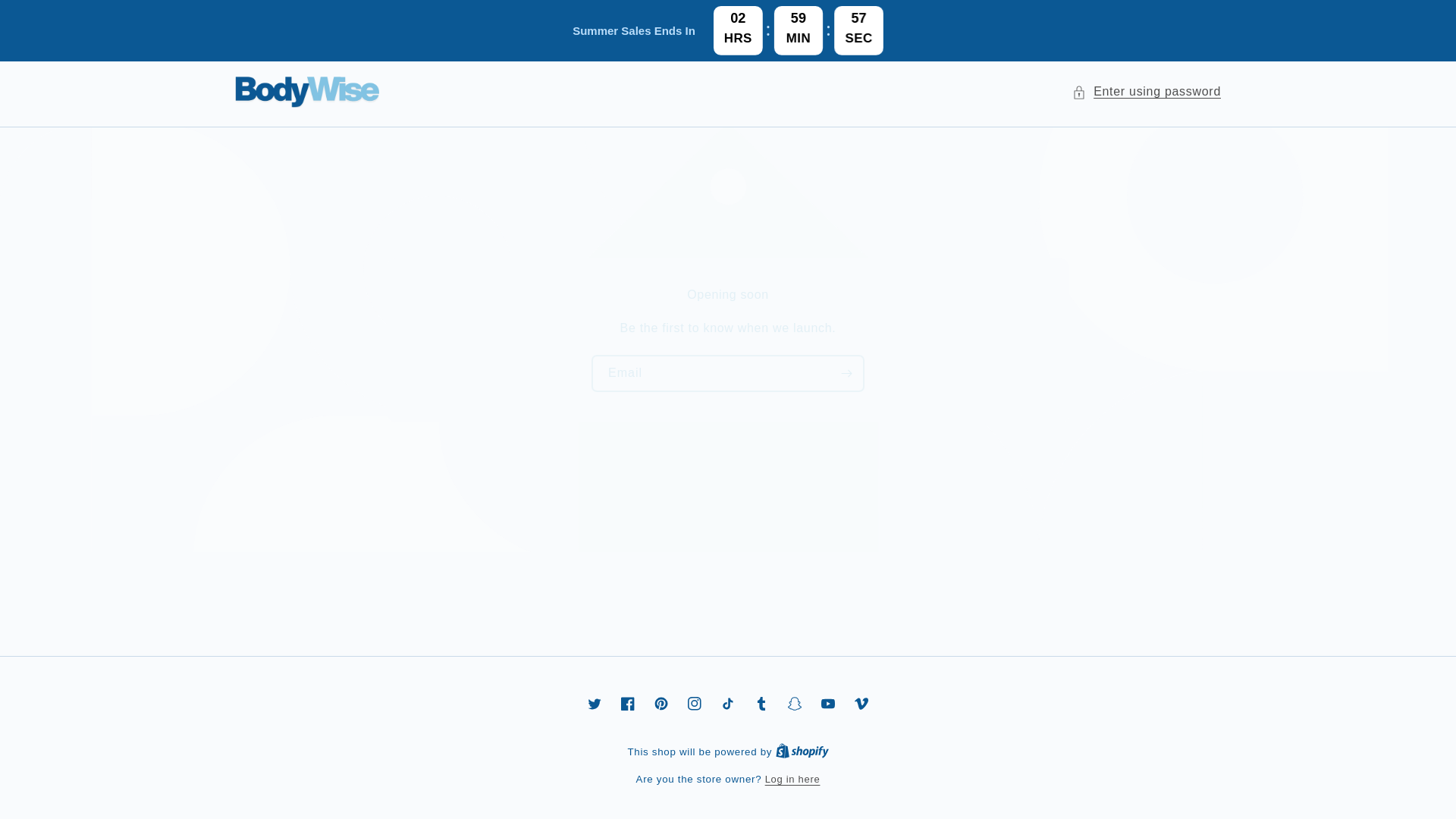 website screenshot of https://bodywisewellnes.com/
