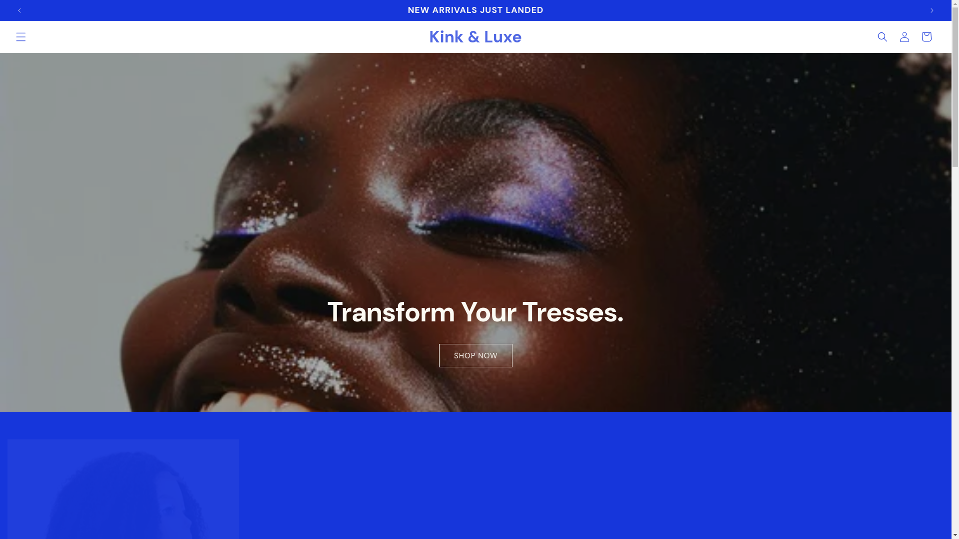 website screenshot of https://theboydbrands.store/