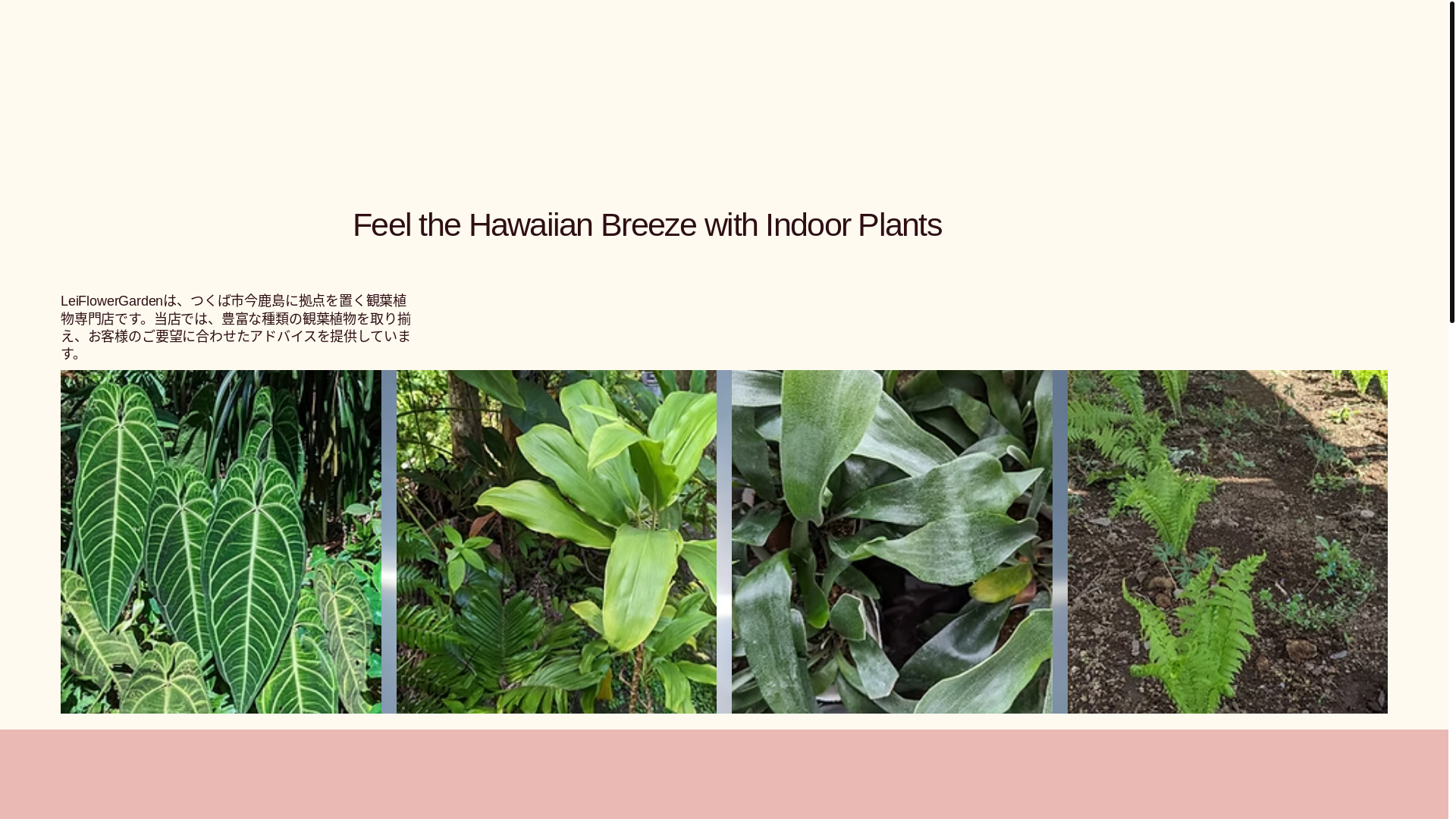 website screenshot of https://leiflowergarden.com/