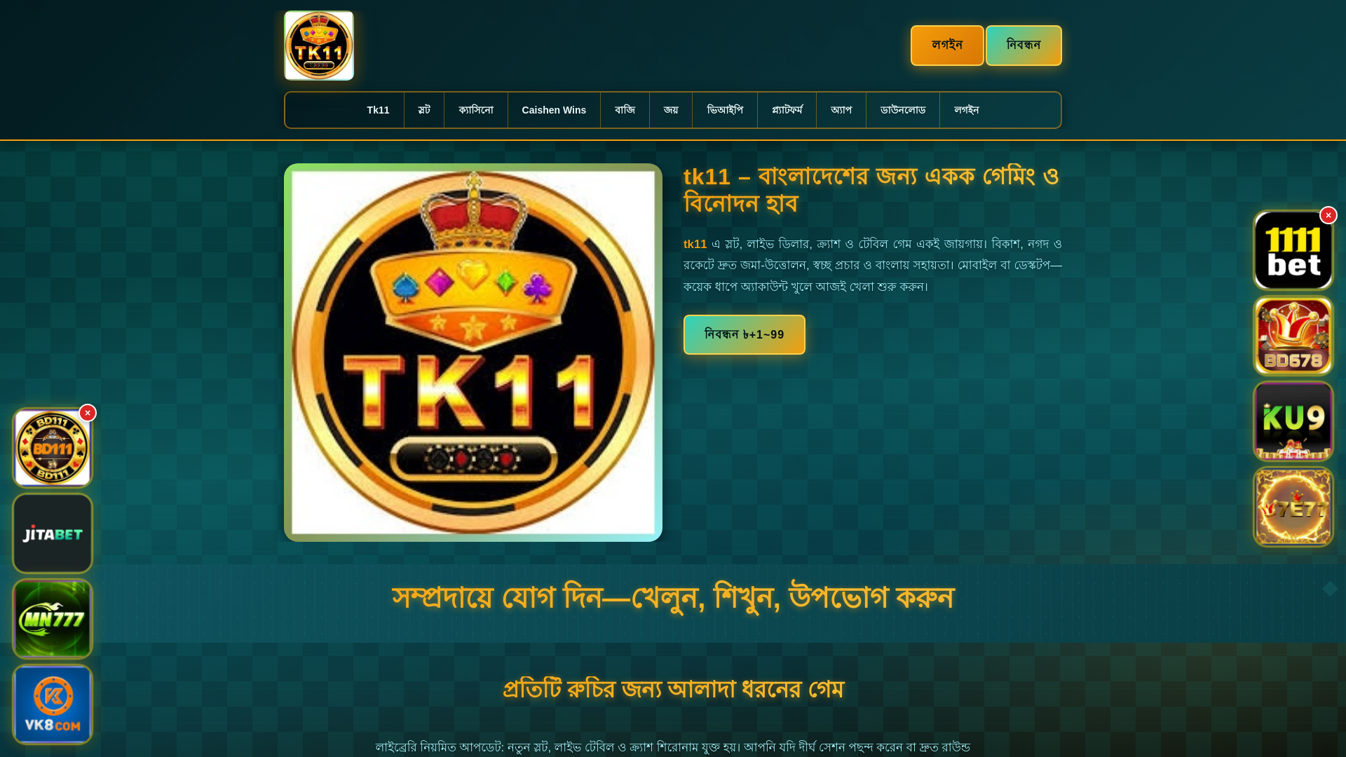 website screenshot of https://tk11dui.com/