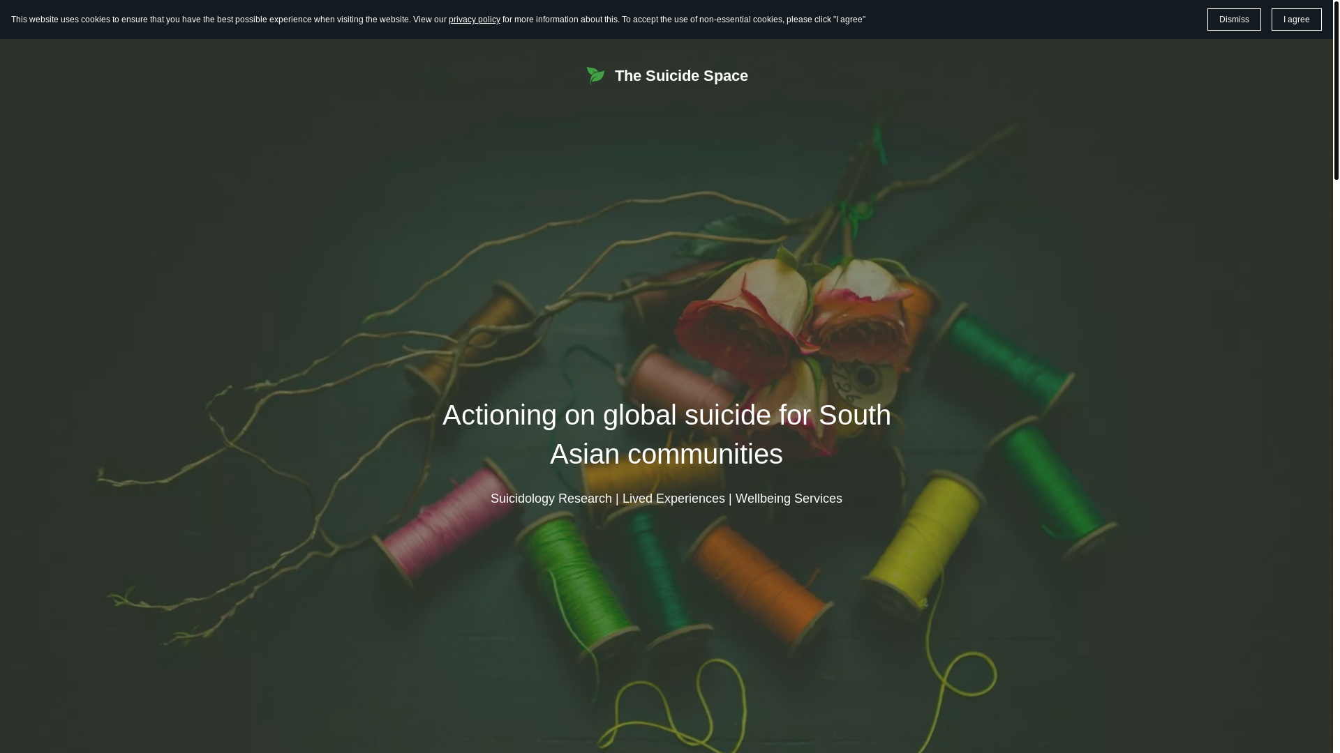 website screenshot of https://thesuicidespace.org/