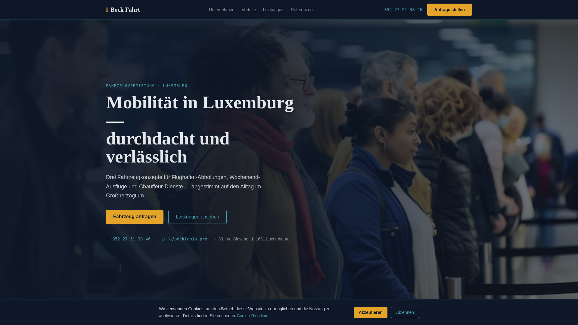 website screenshot of https://bockfahis.pro/